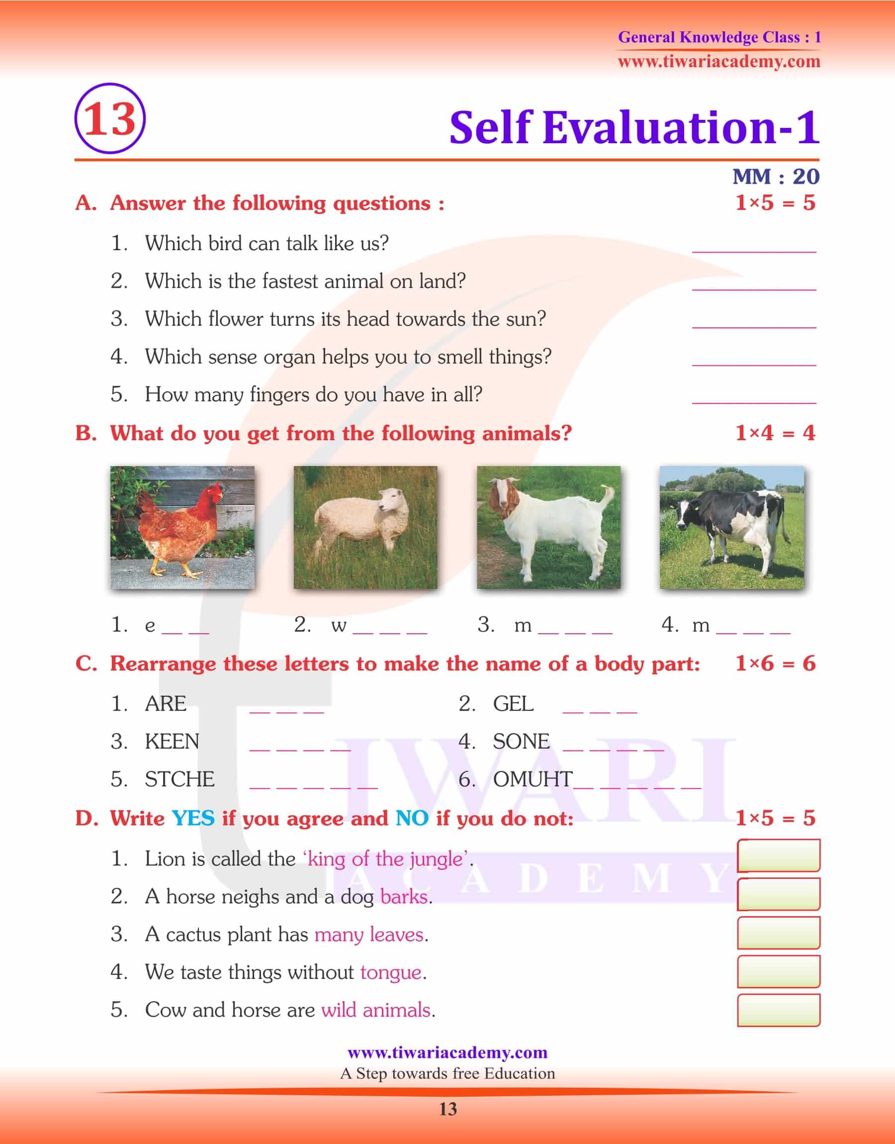 Class 1 GK General Knowledge Questions and Answers Book PDF