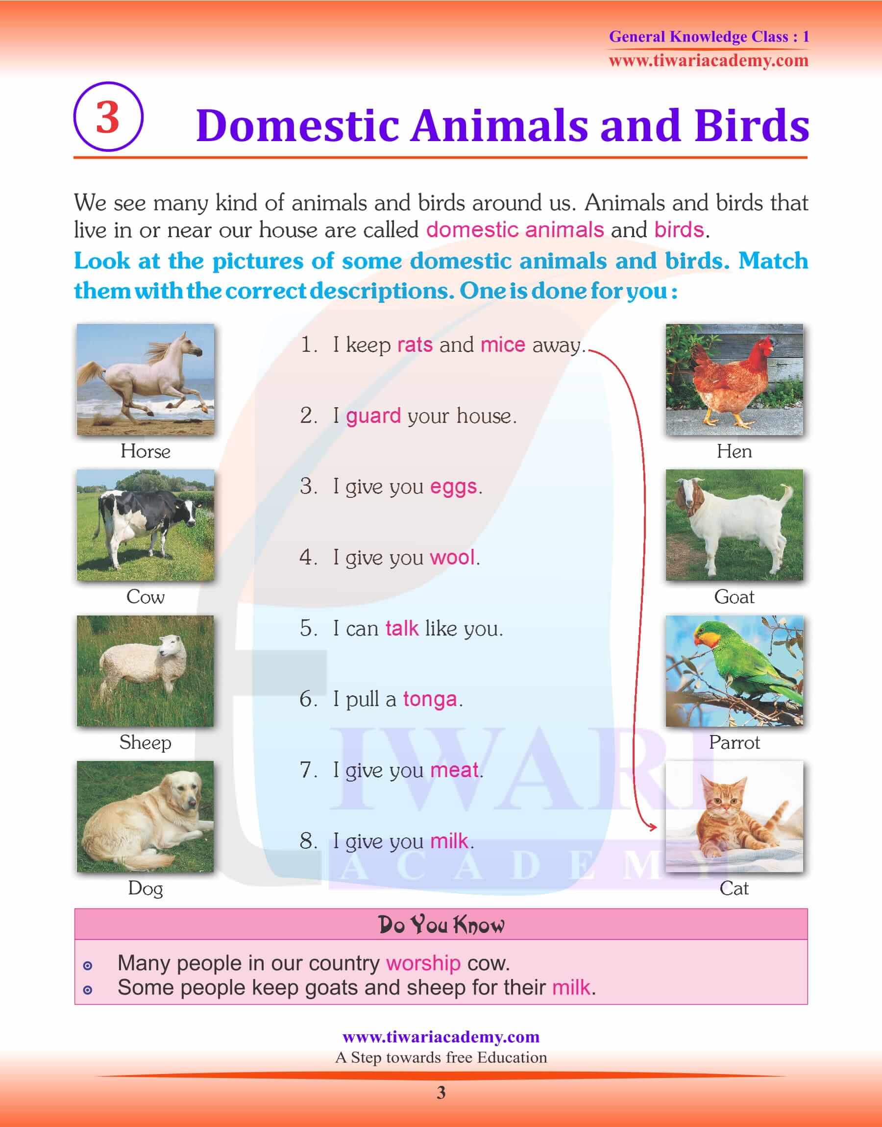 Domestic Animals and Birds