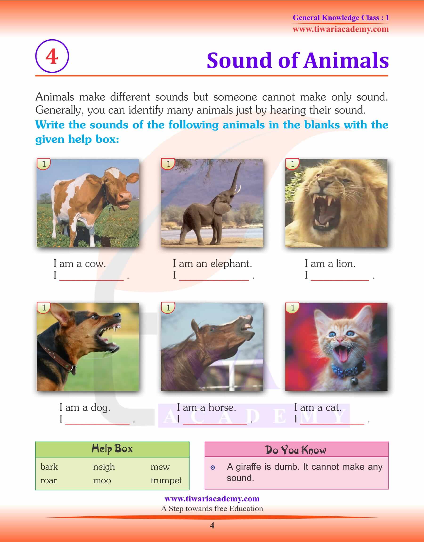 Sound of Animals