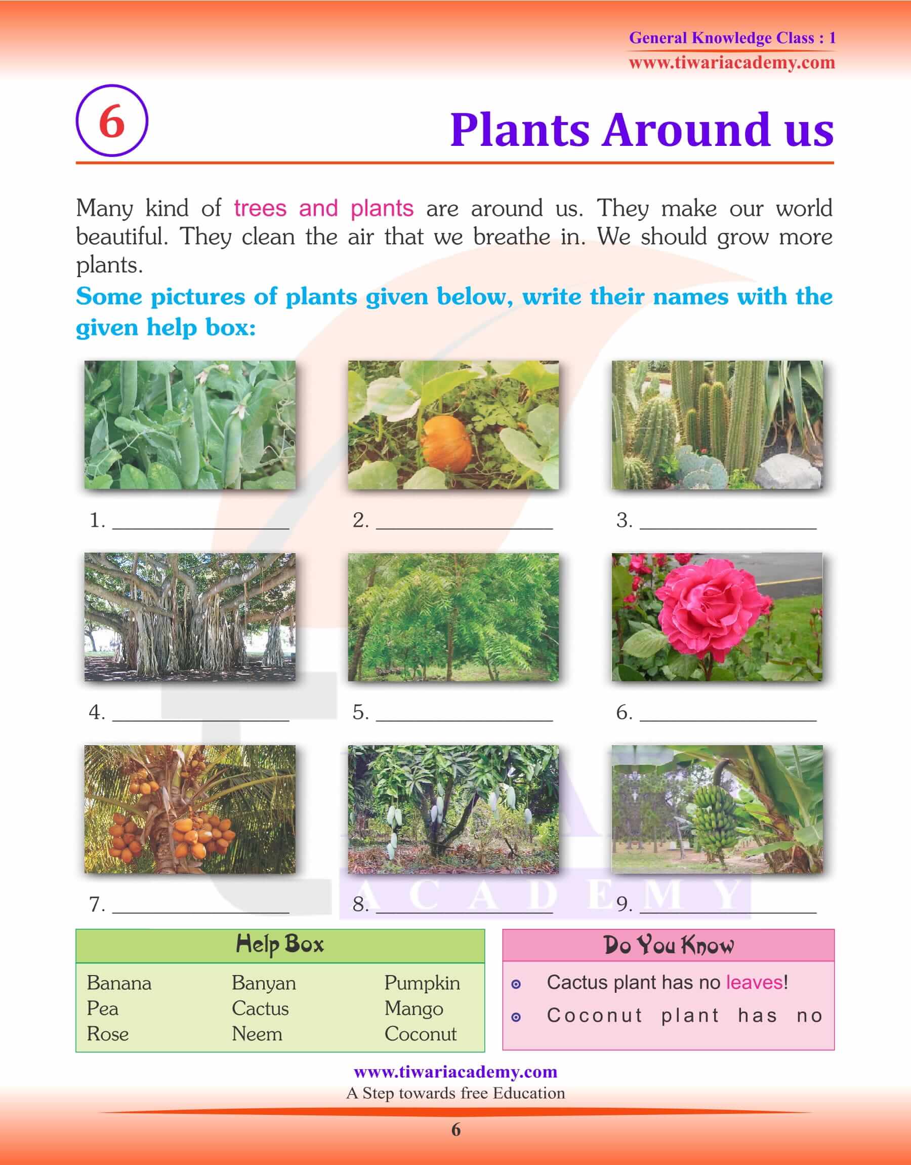 Plants around Us