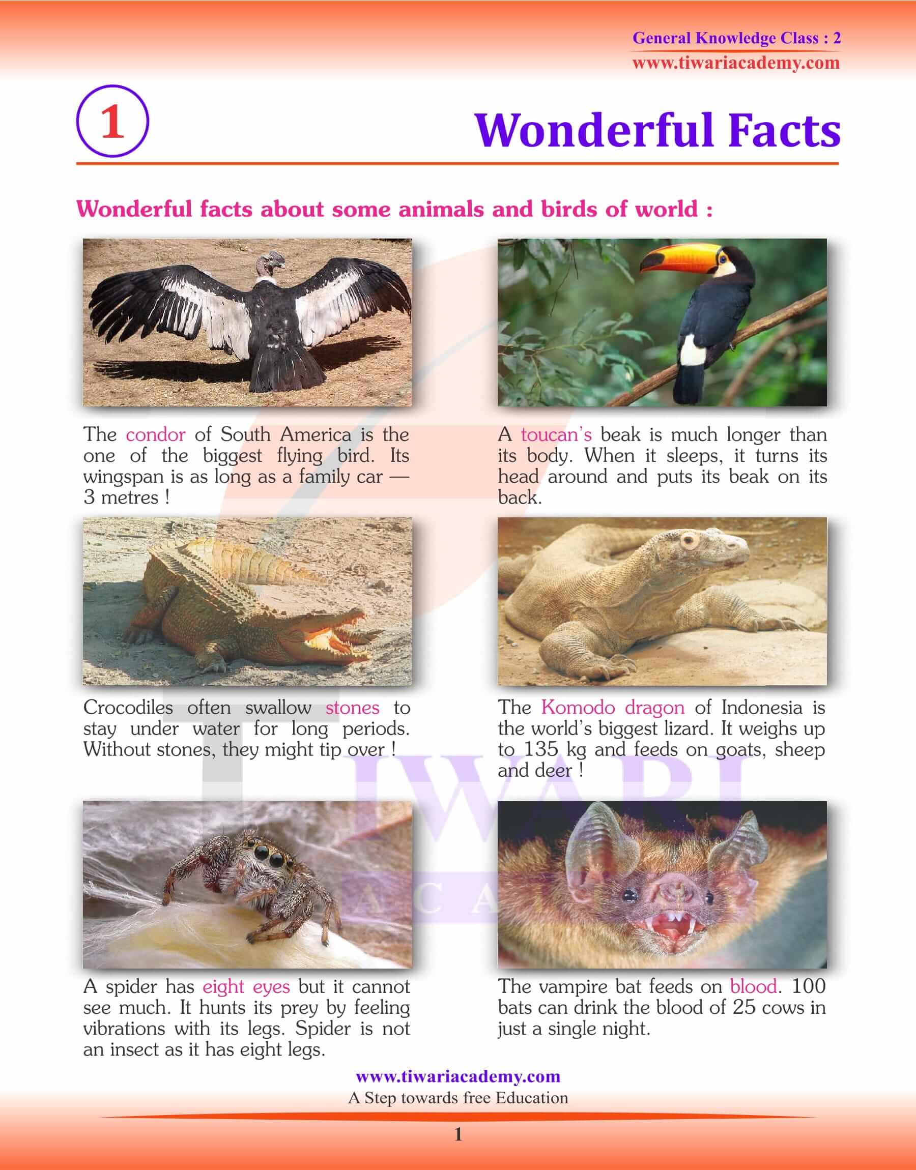 Wonderful Facts