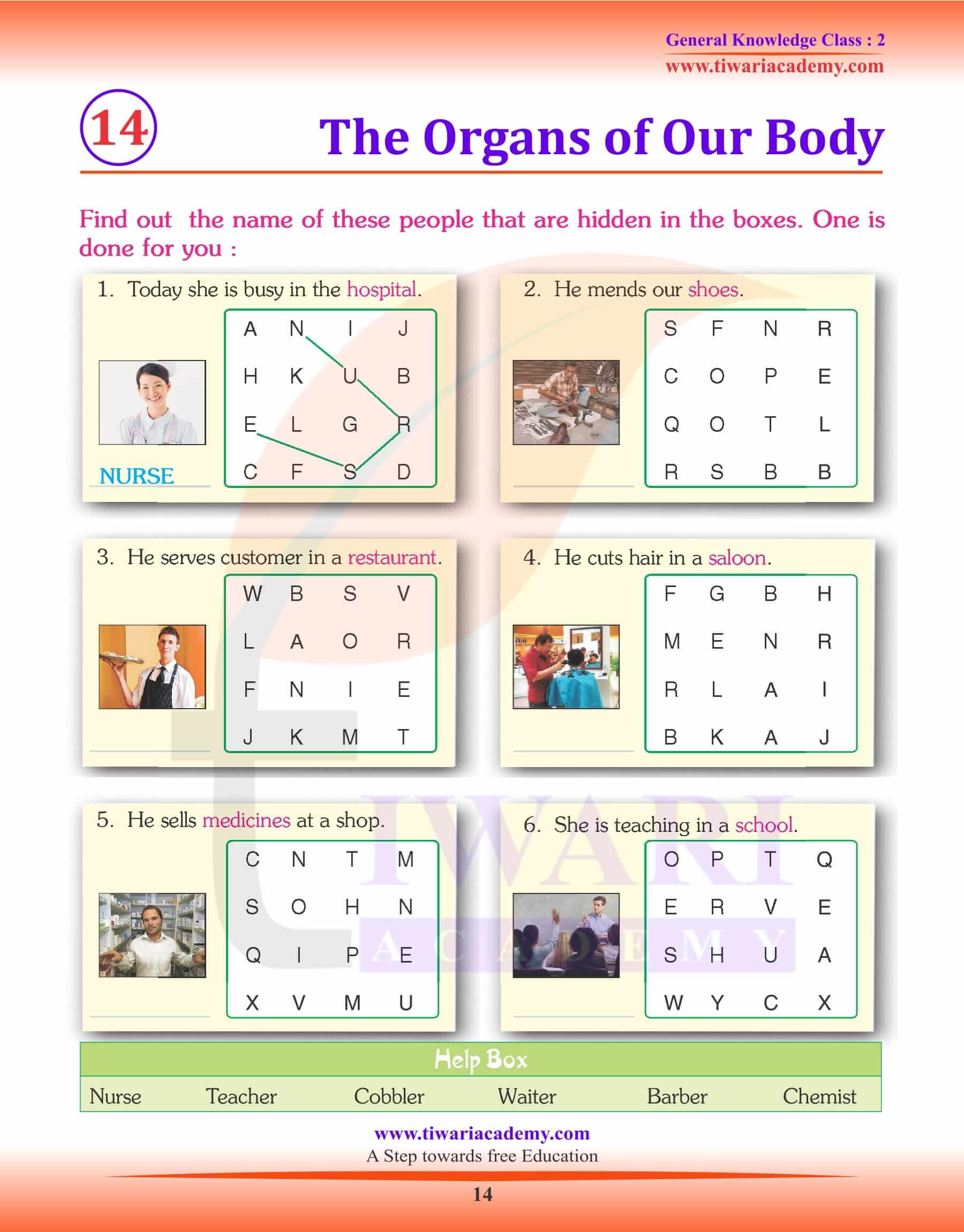 The Organs of our Body