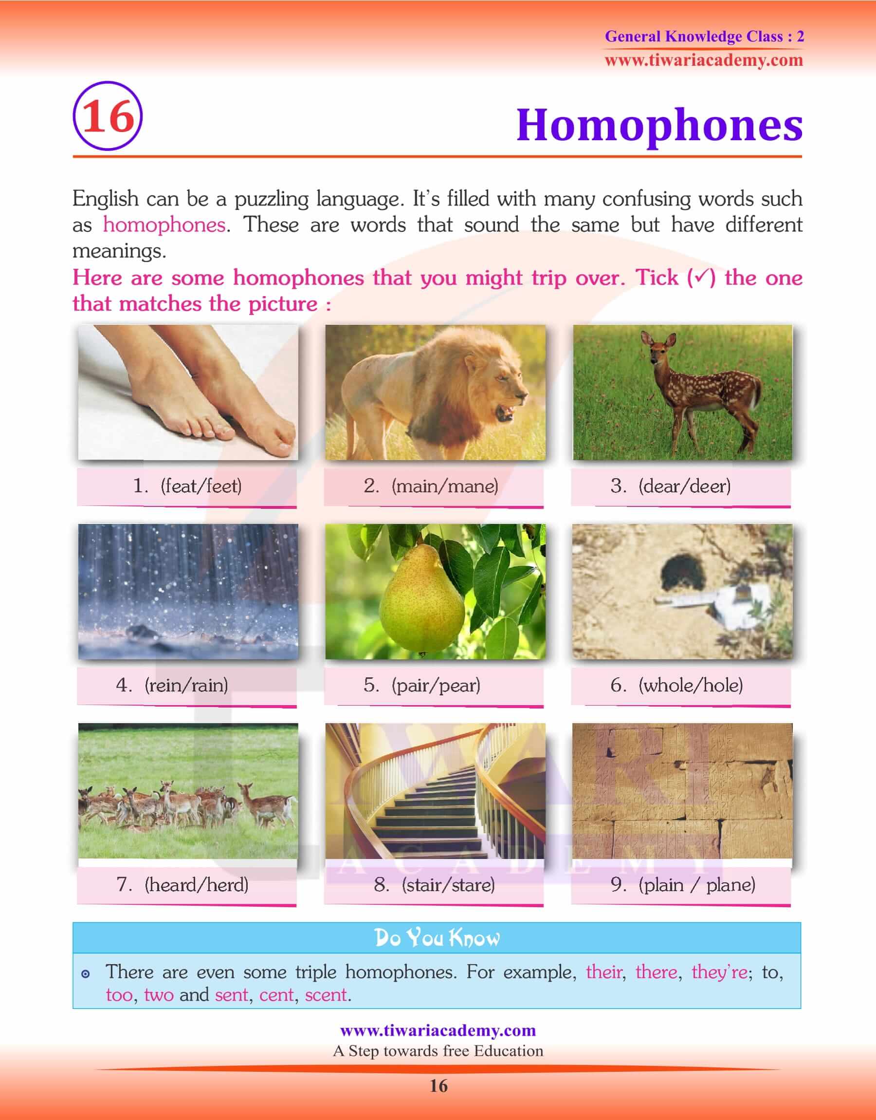 Homophones