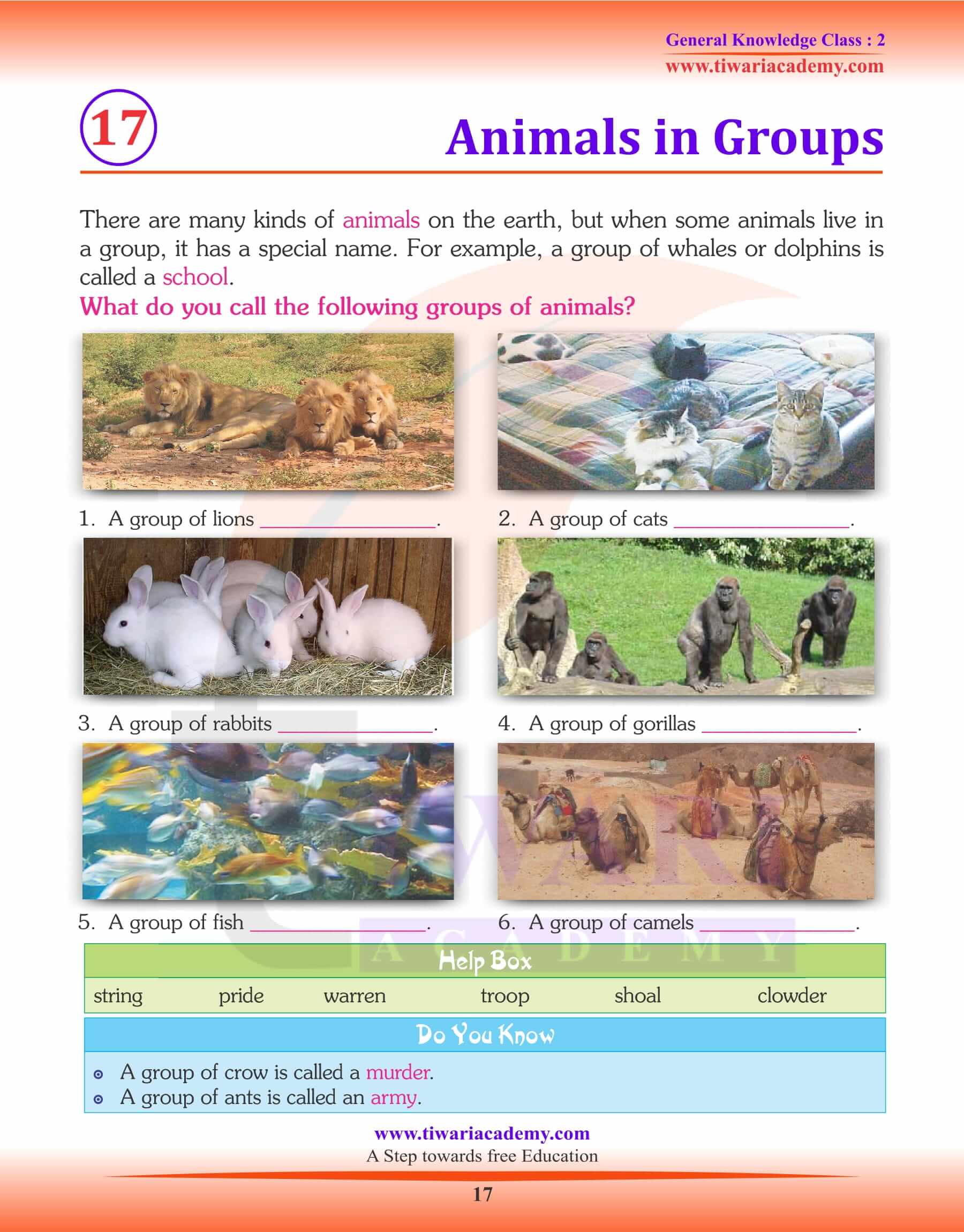 Animals in Groups