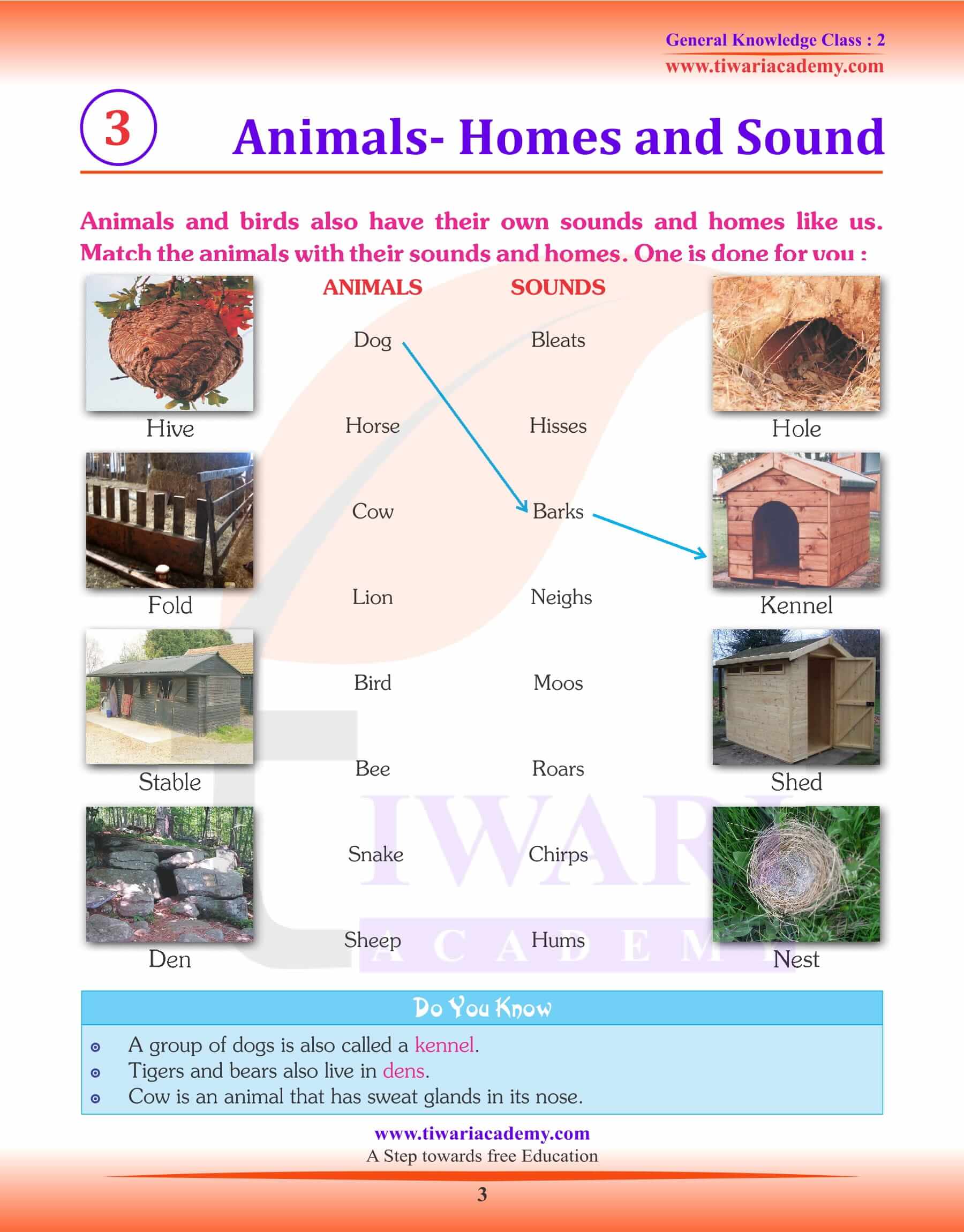 Animals Homes