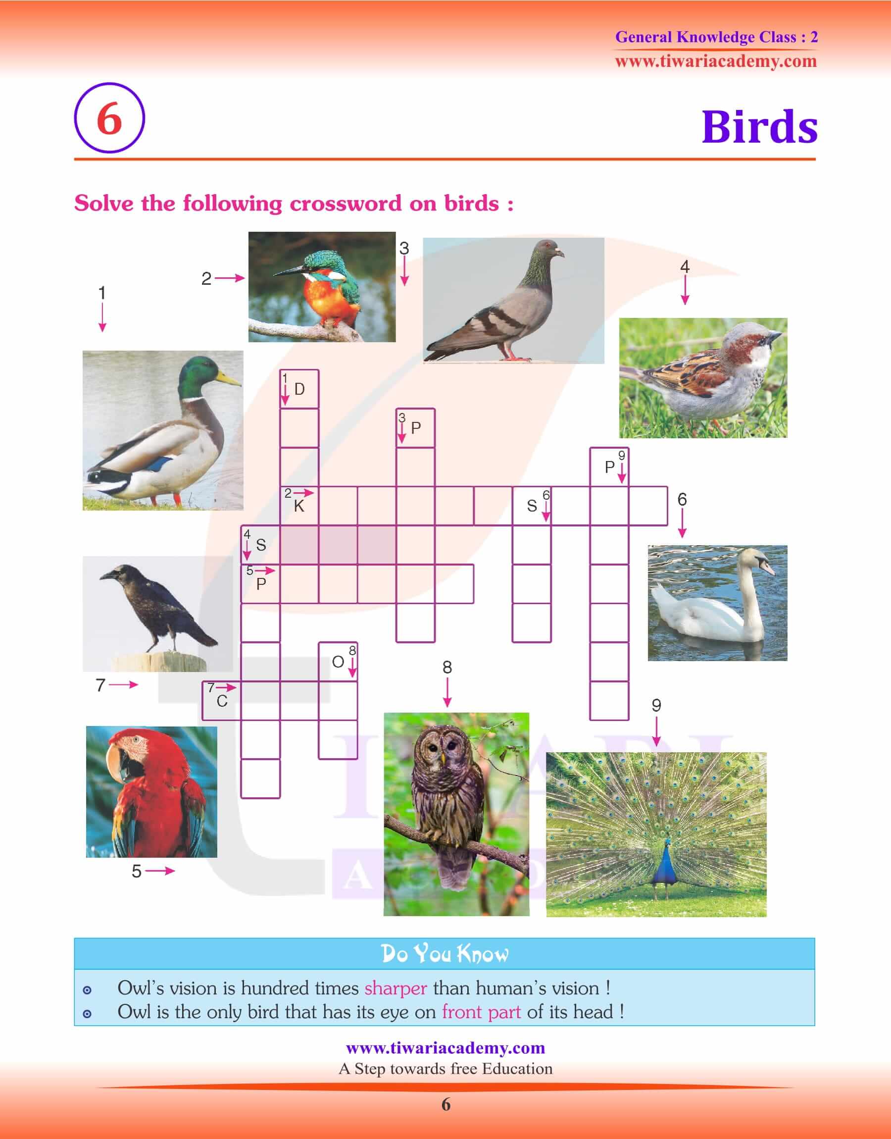 Birds