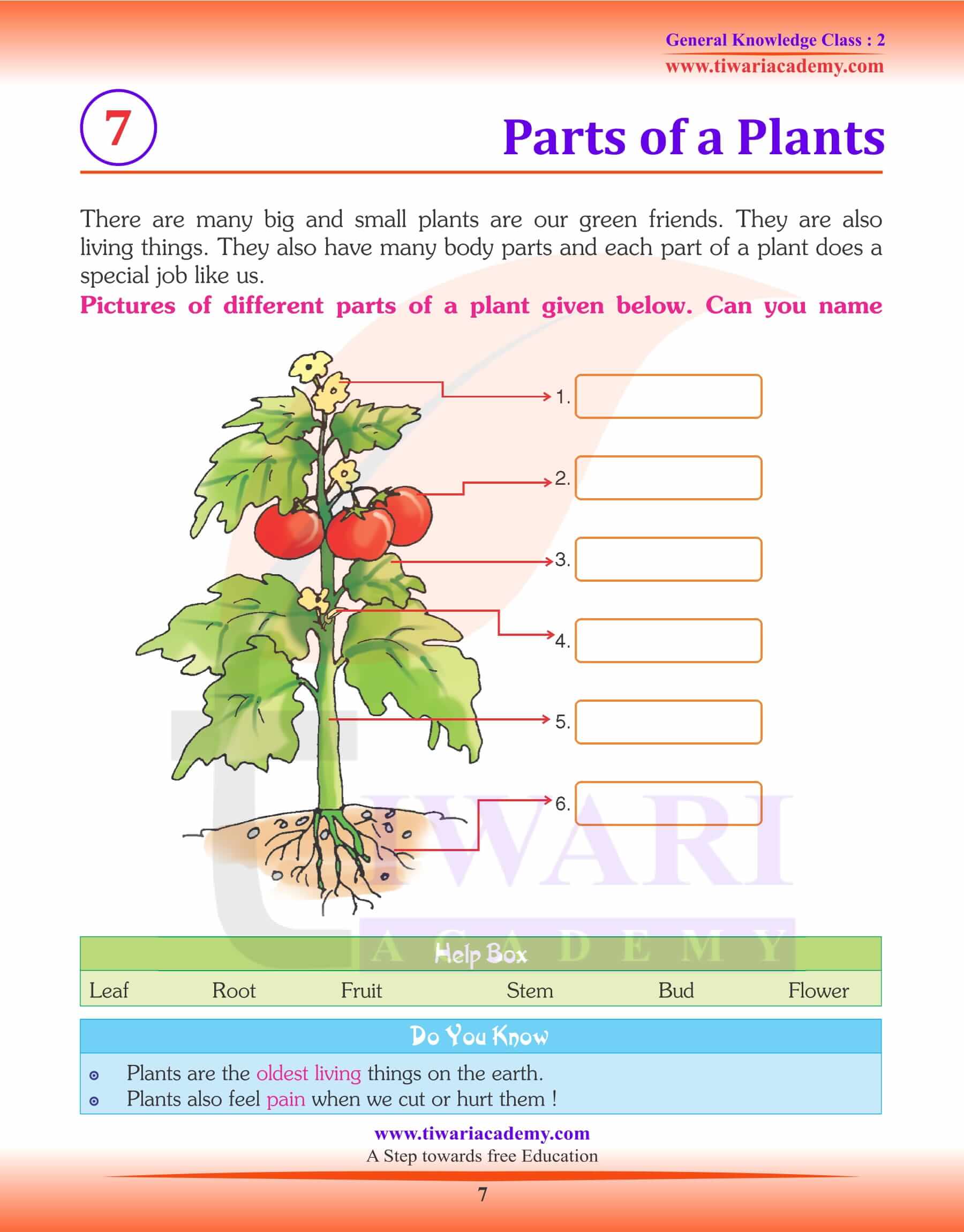 Parts of a Plants