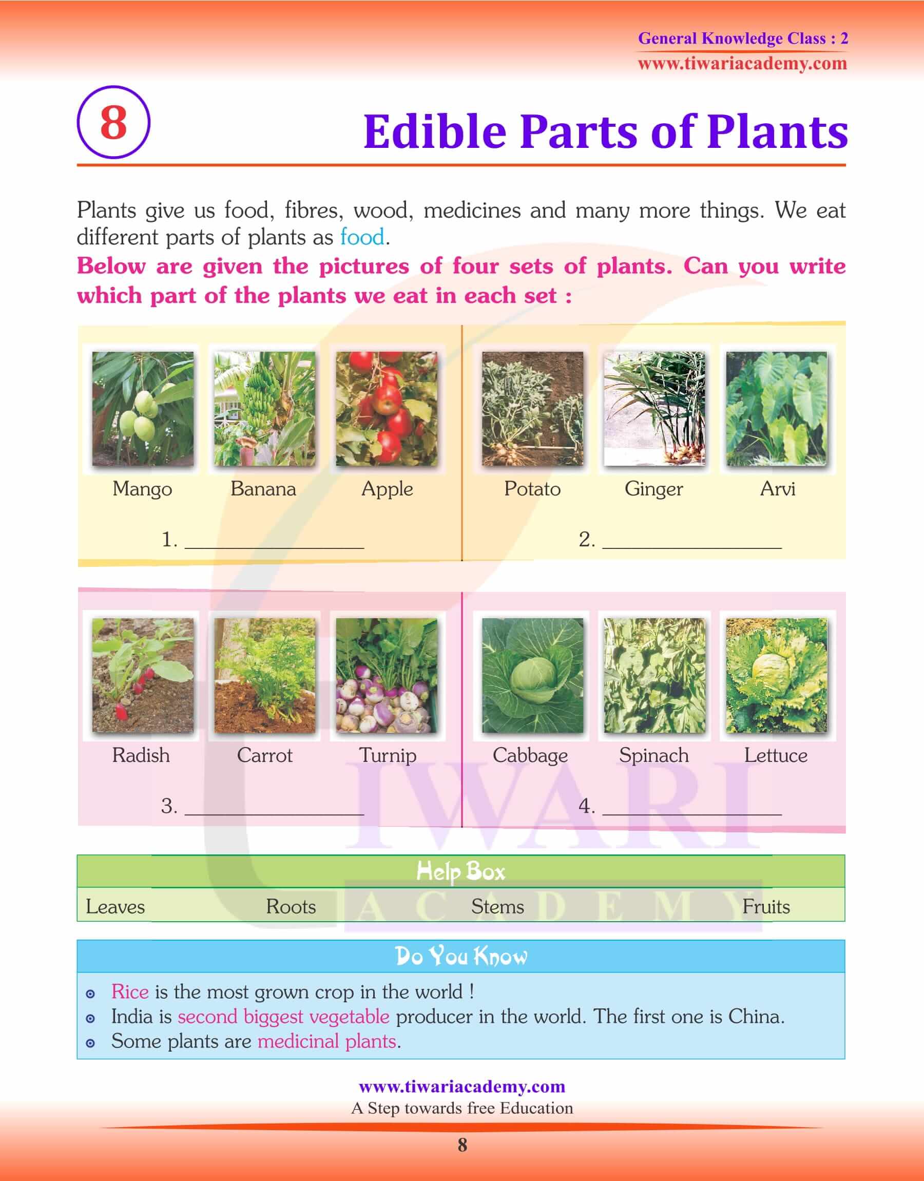 Edible Parts of the Plants