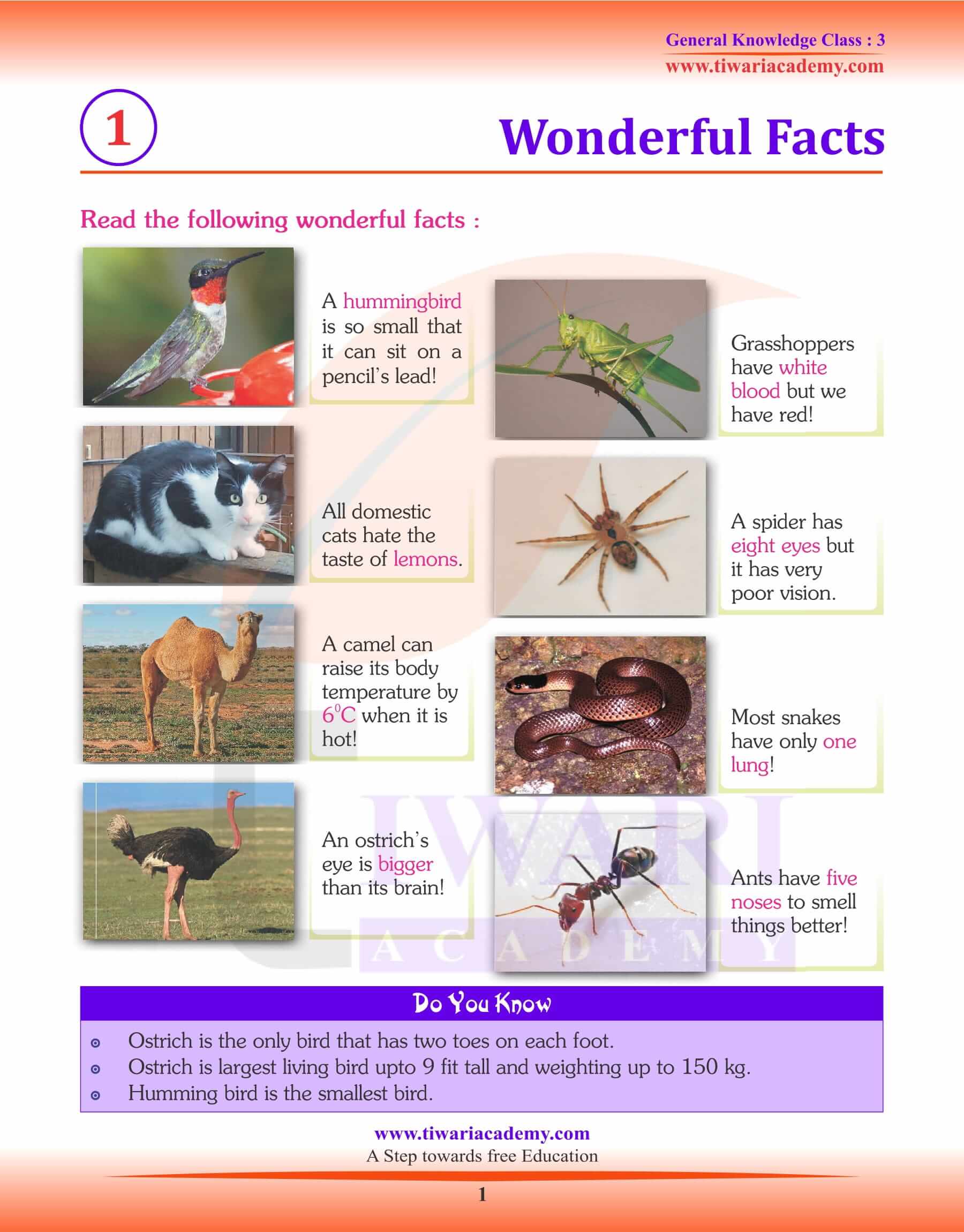 Wonderful Facts