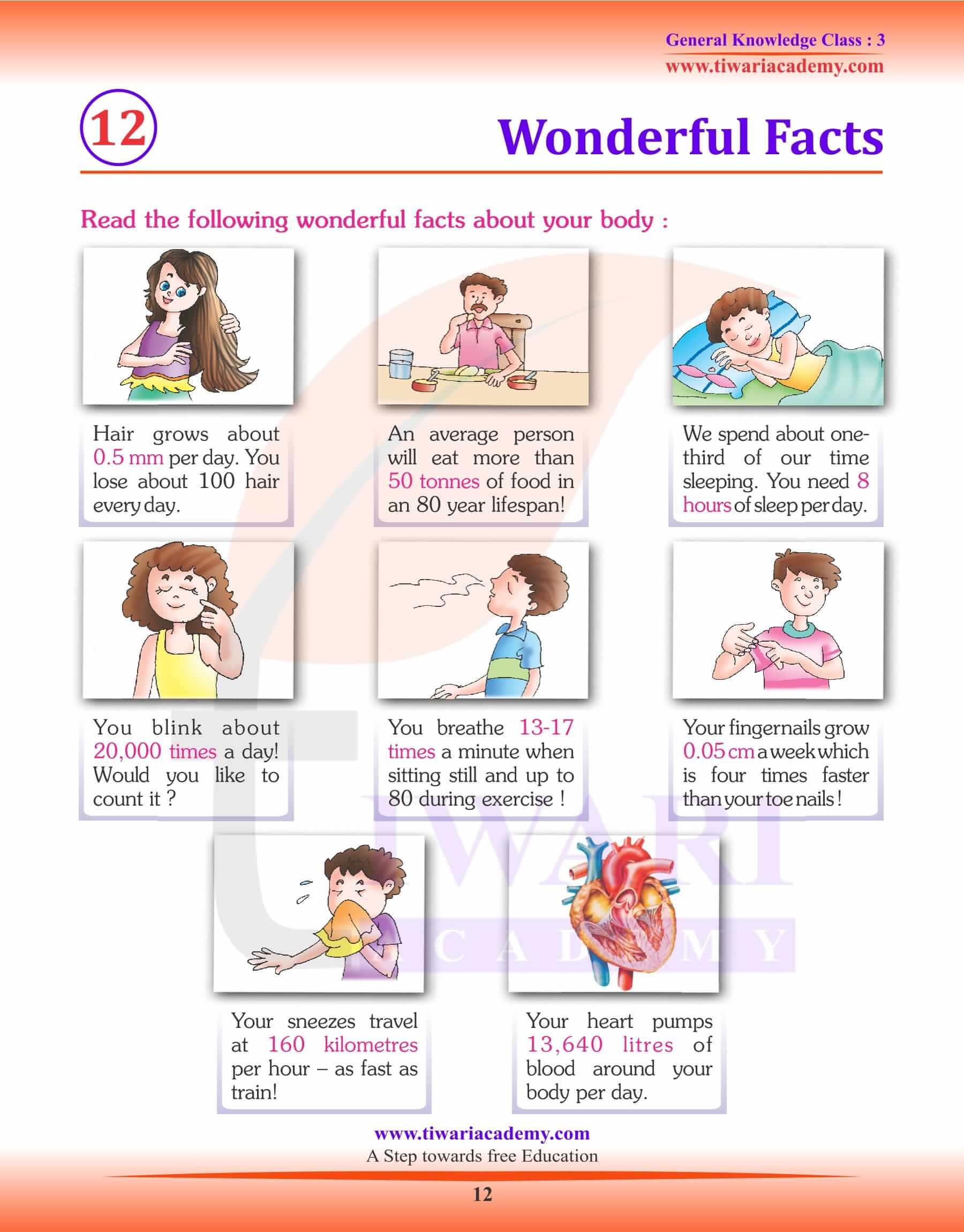 Wonderful Facts