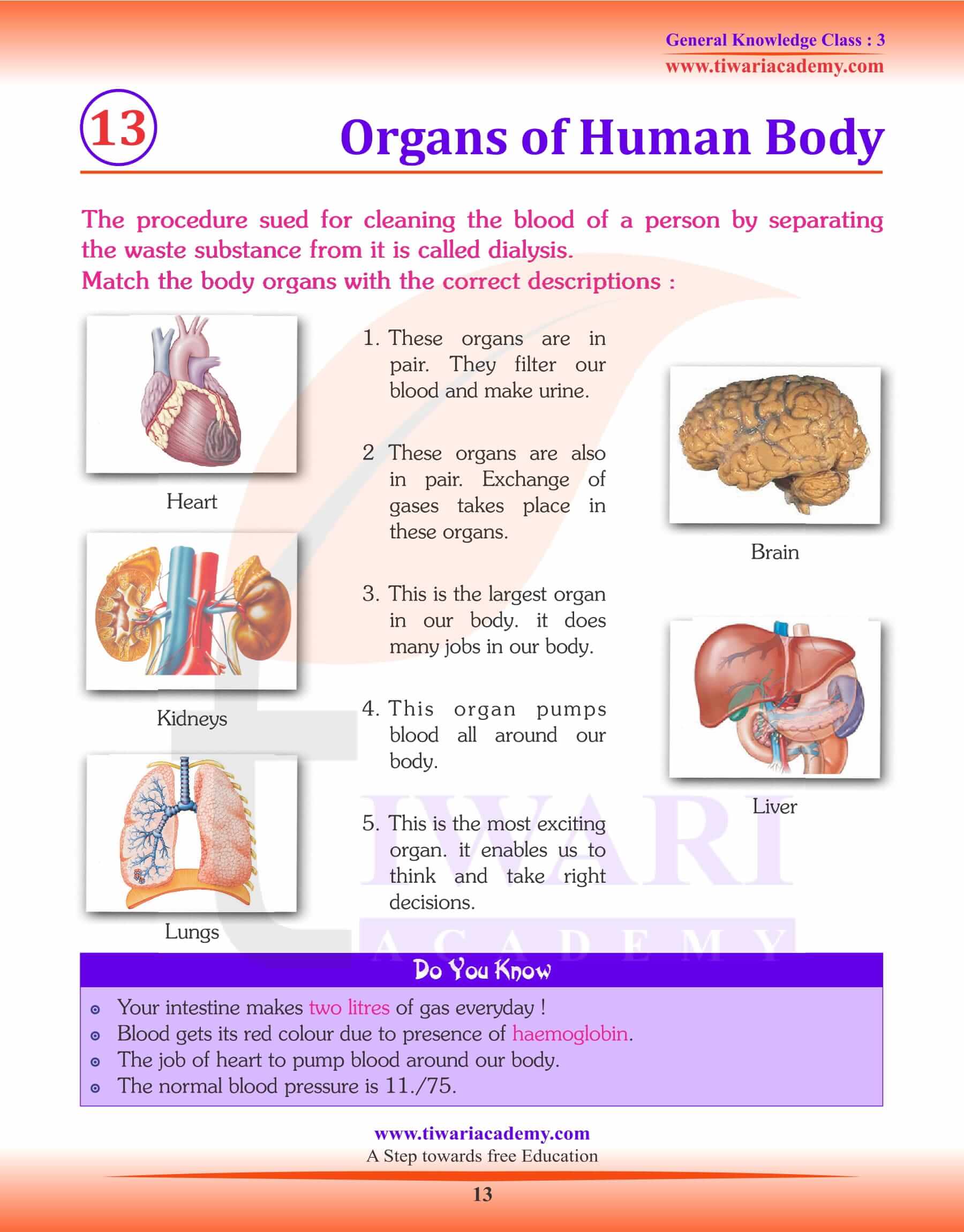 Organs of Human Body