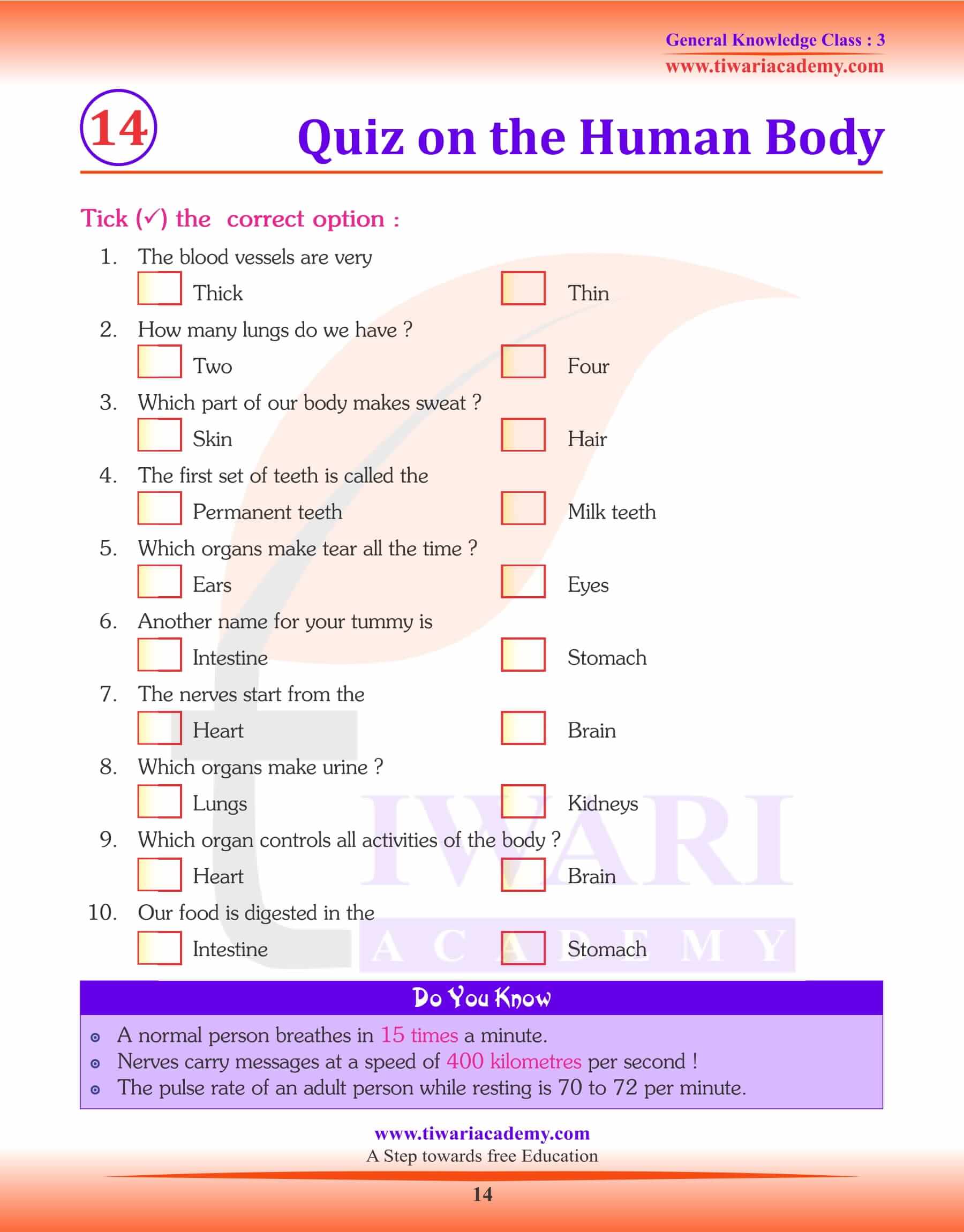 Quiz on the Human Body