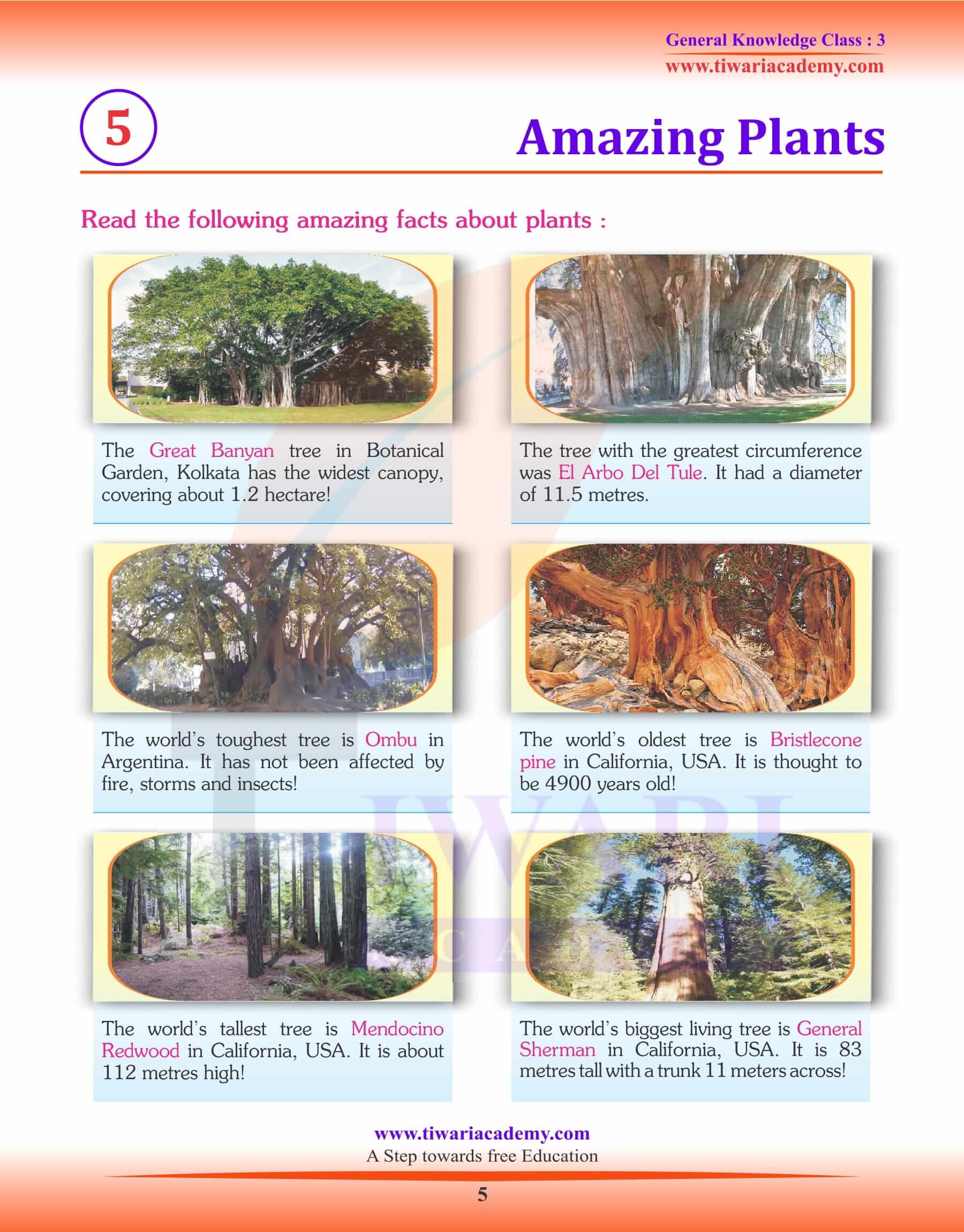 Amazing Plants