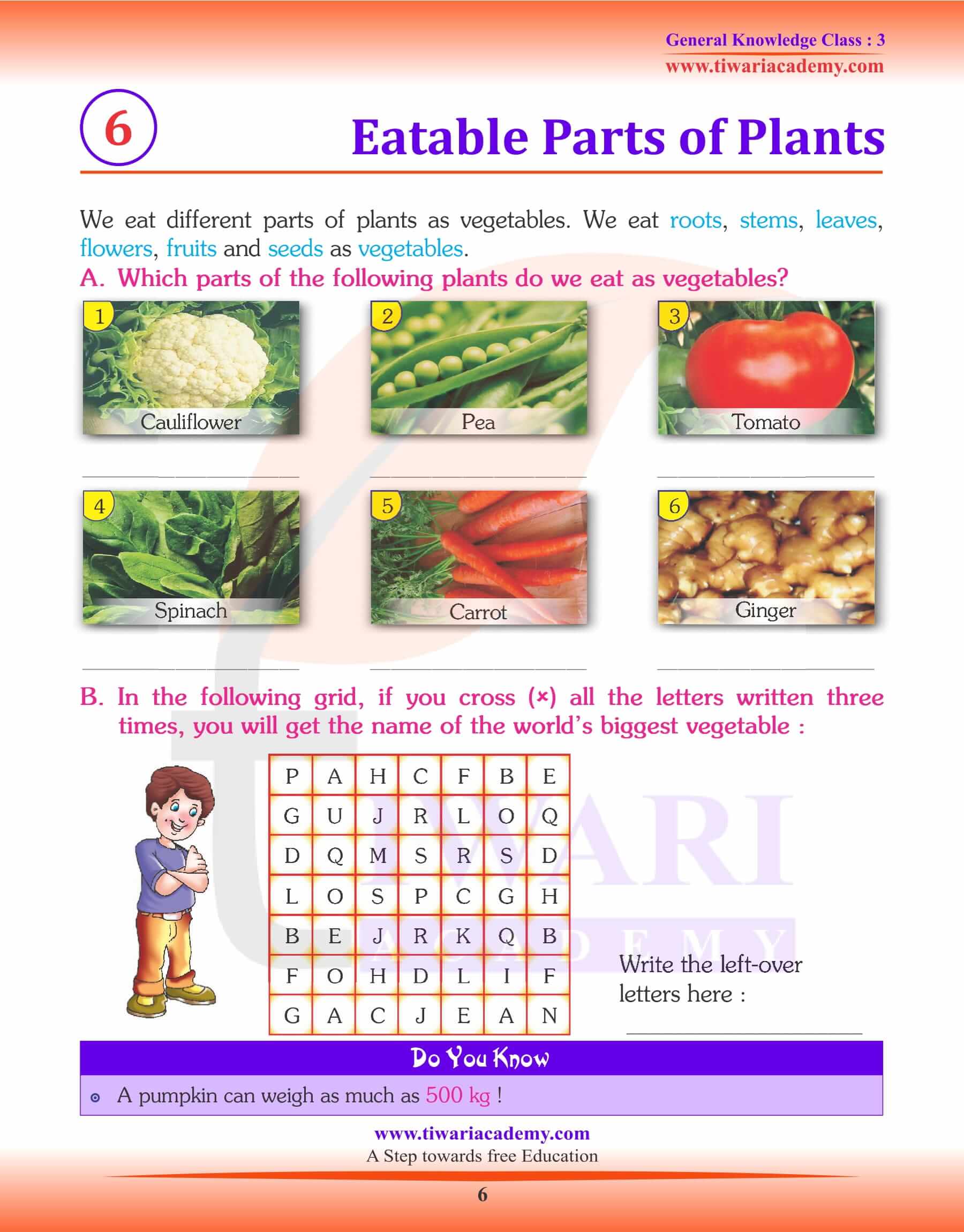 Eatable Parts of Plants