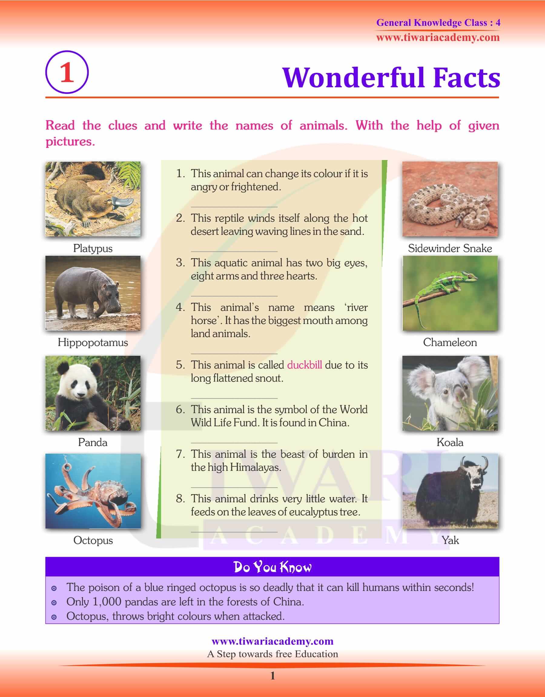 Wonderful Facts