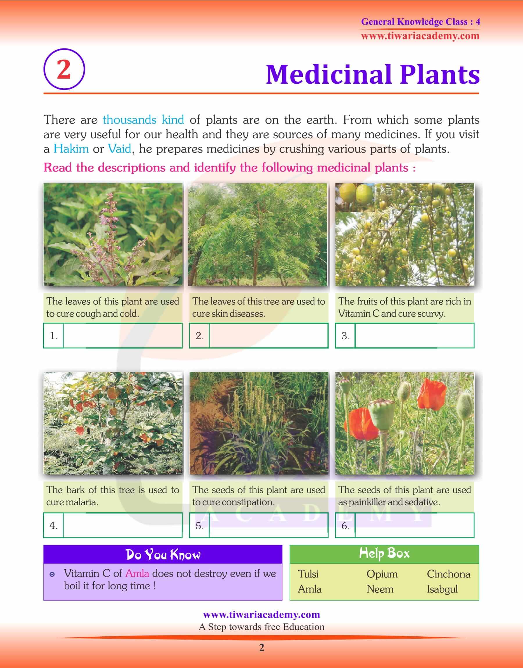 Medicinal Plants