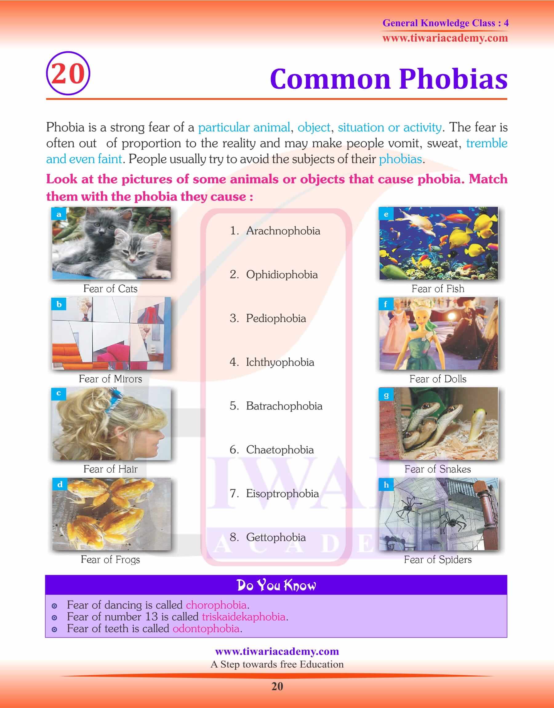 Common Phobias