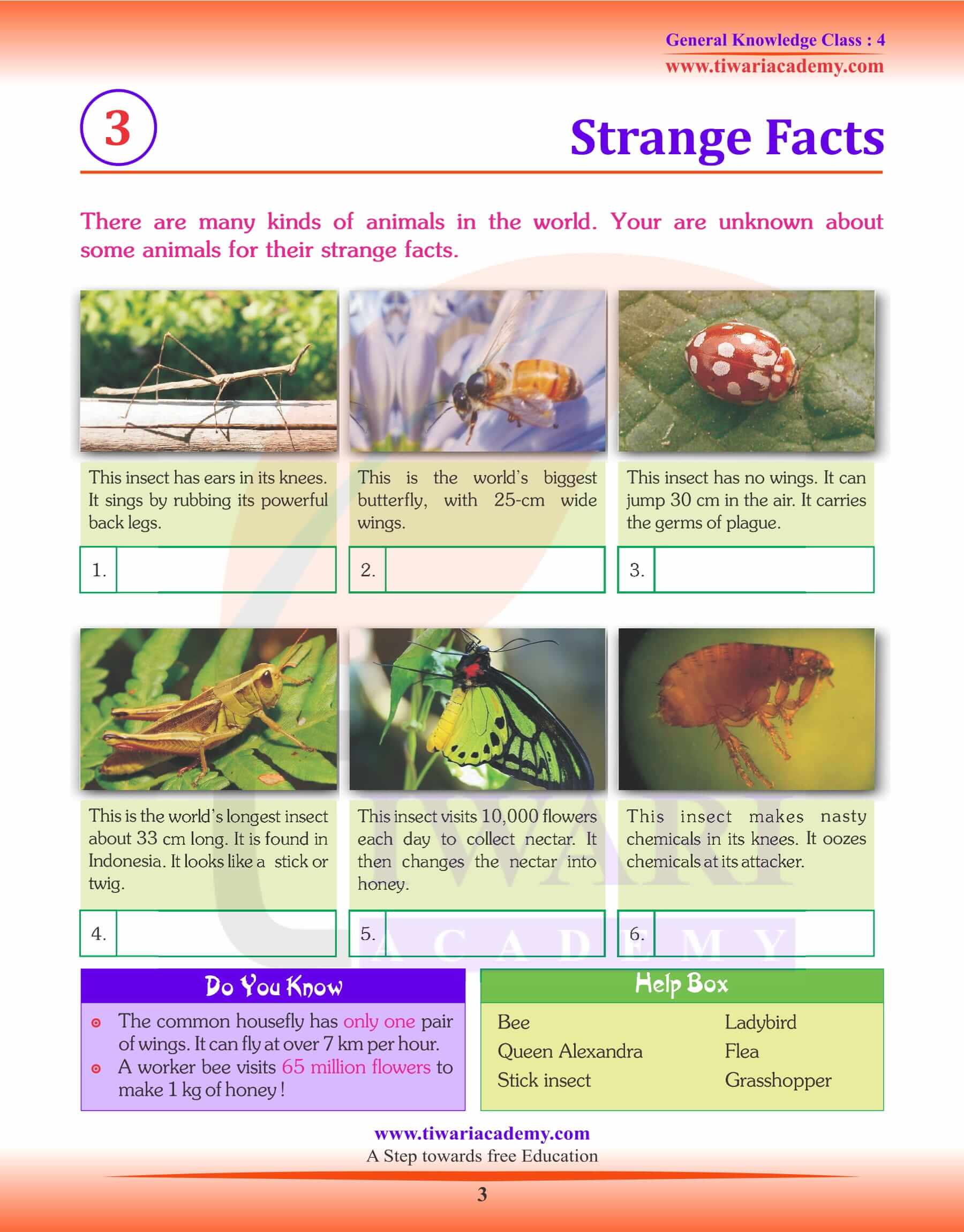 Strange Facts