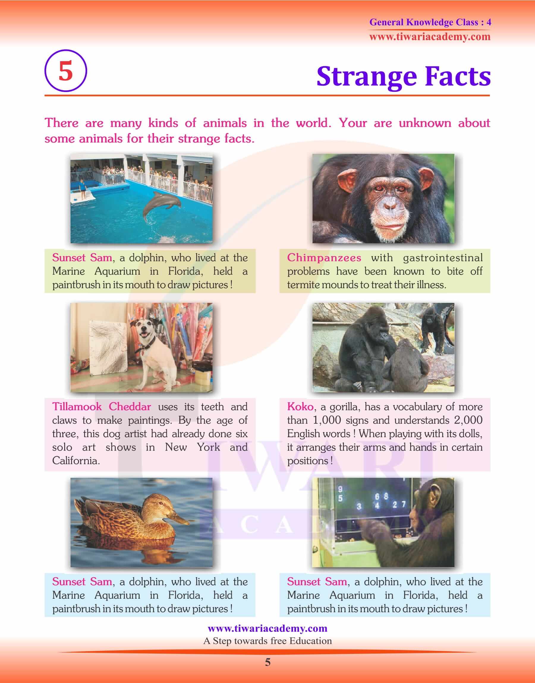 Strange Facts