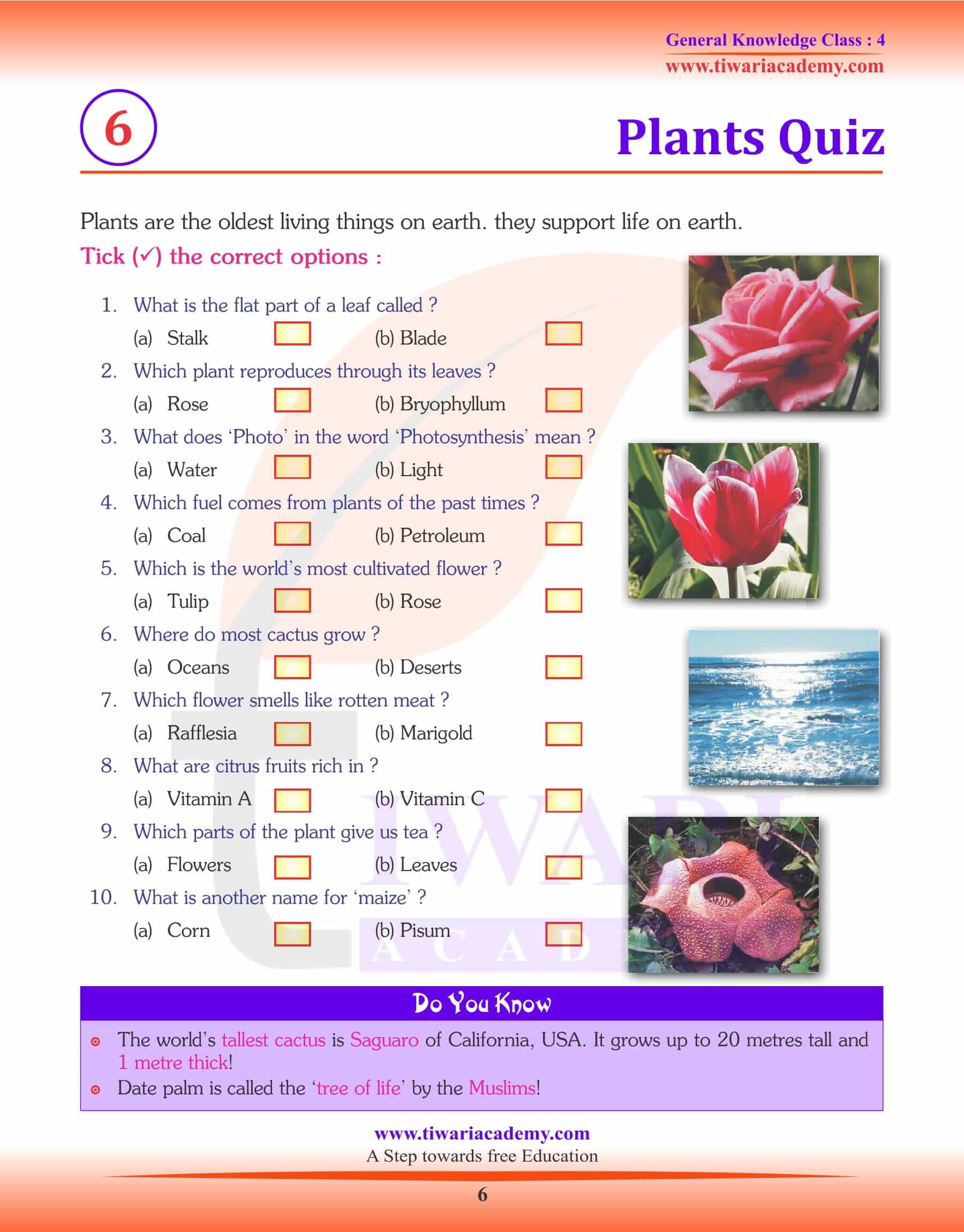 Plants Quiz