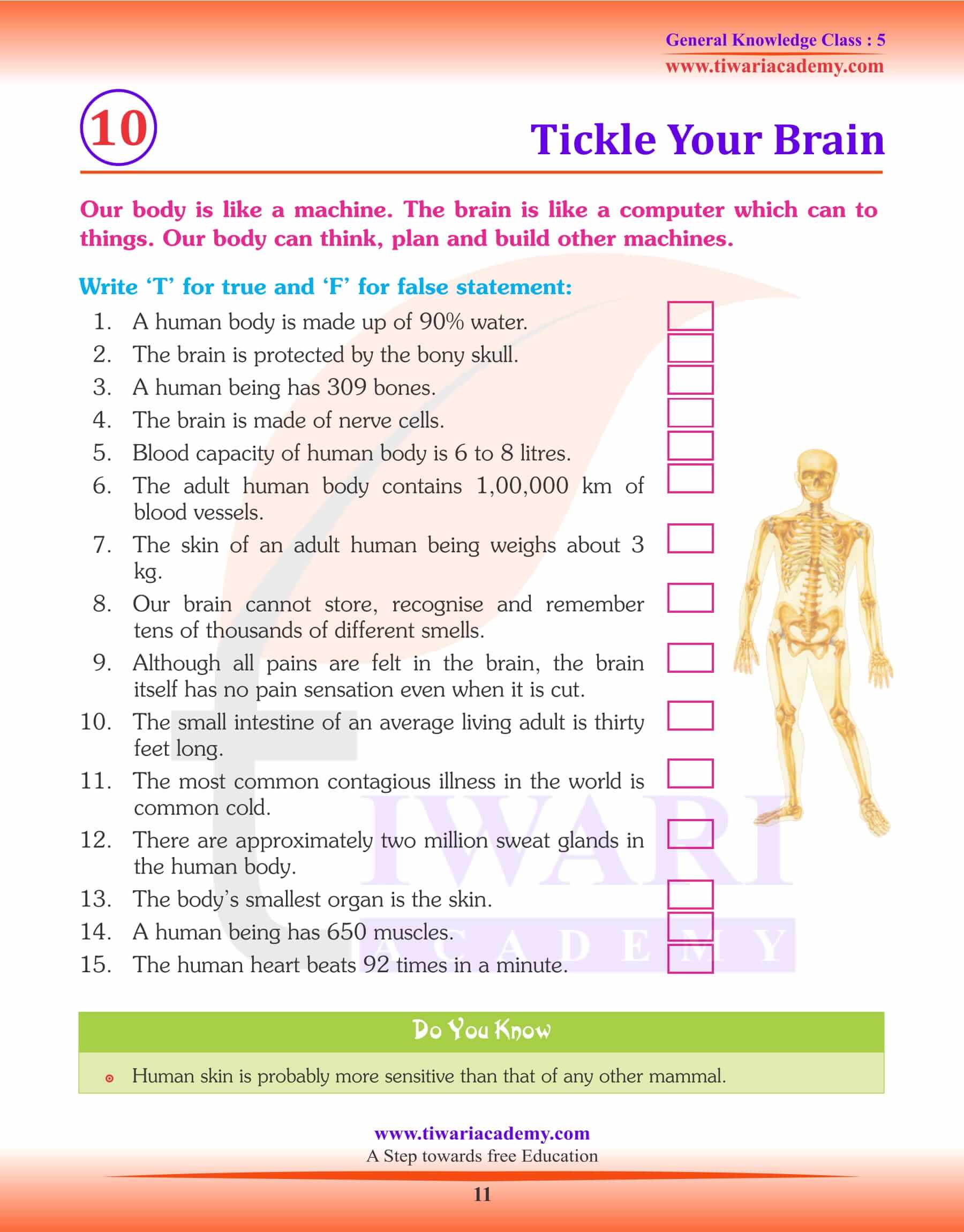 Tickle Your Brain