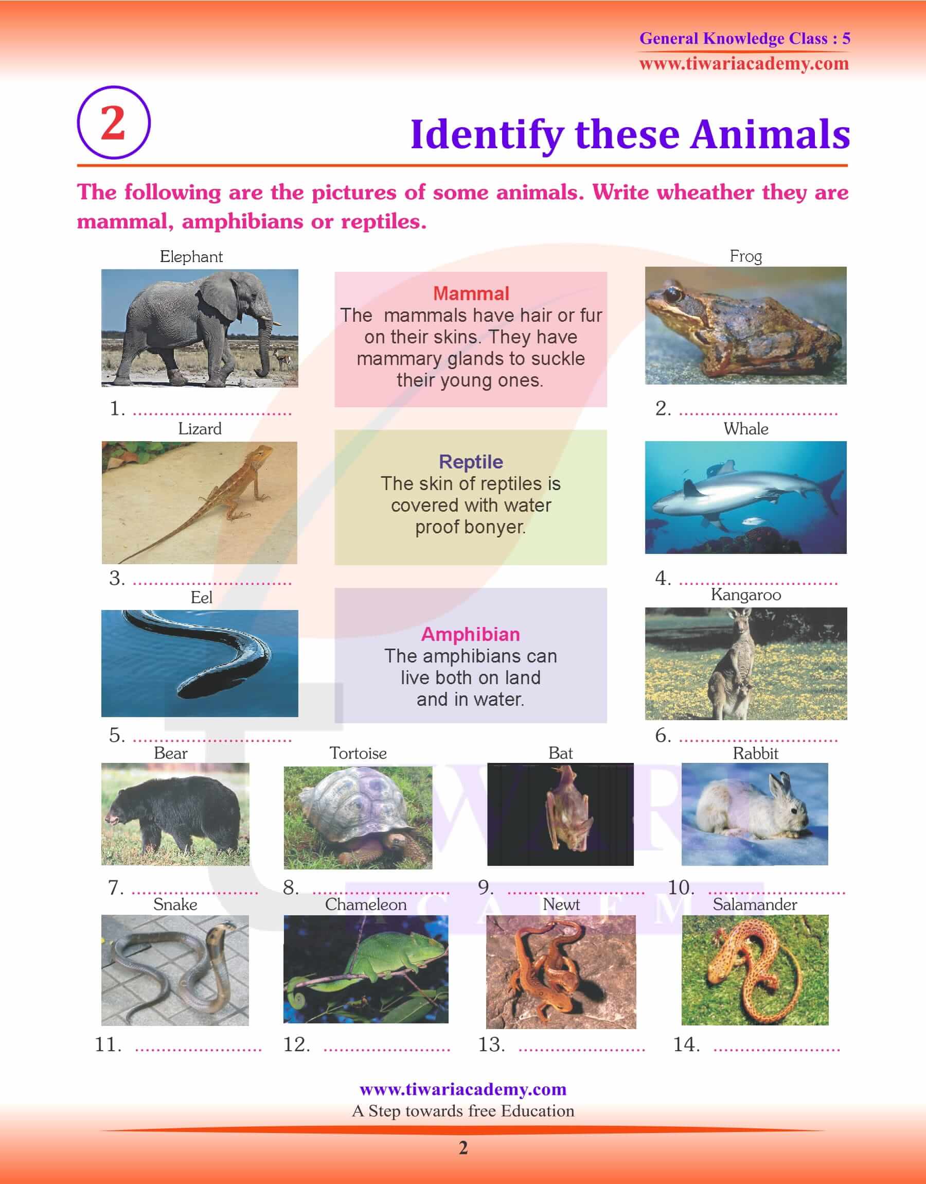Identify These Animals