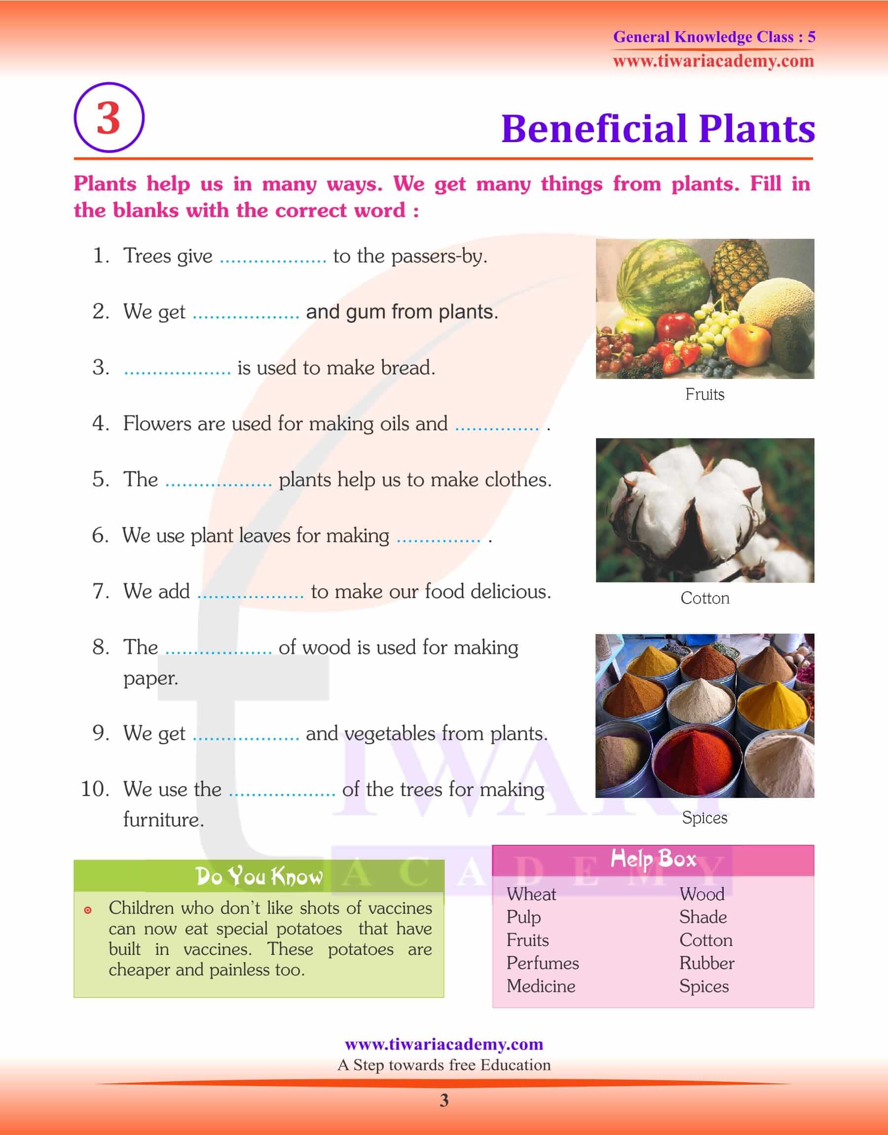 Beneficial Plants