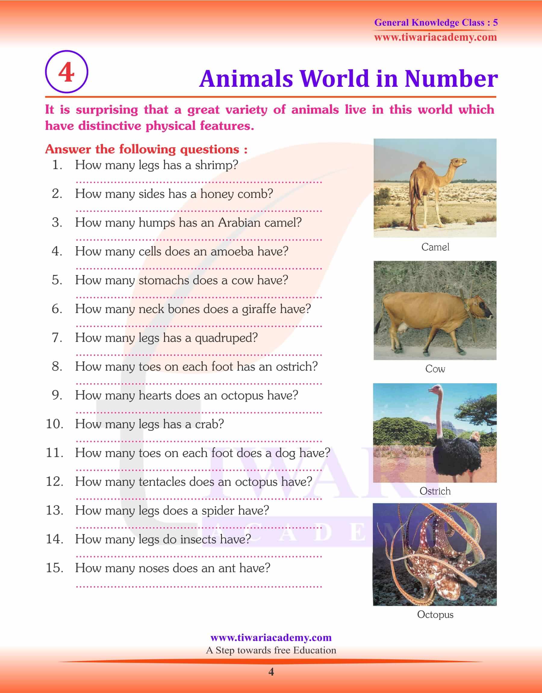 Animals World in Number