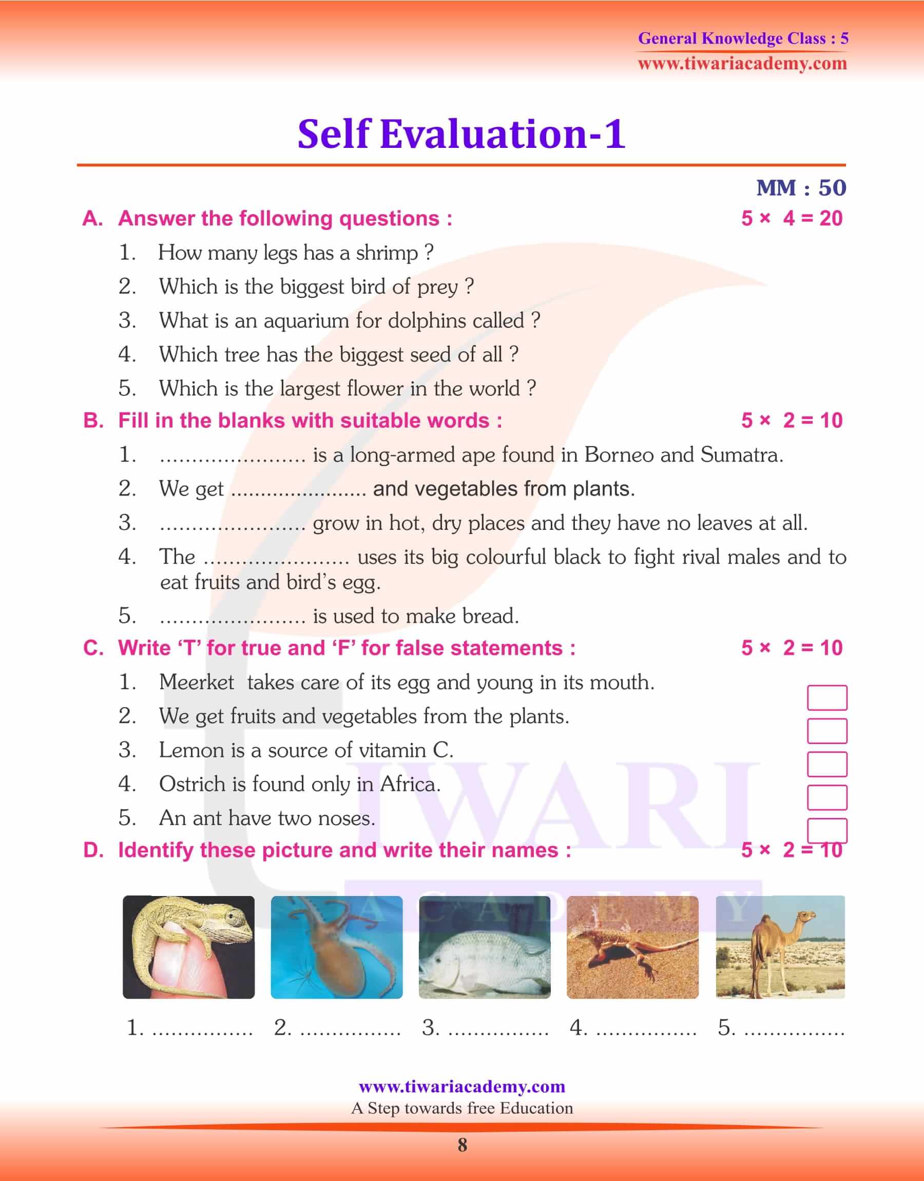 Class 5 GK Practice Test 1