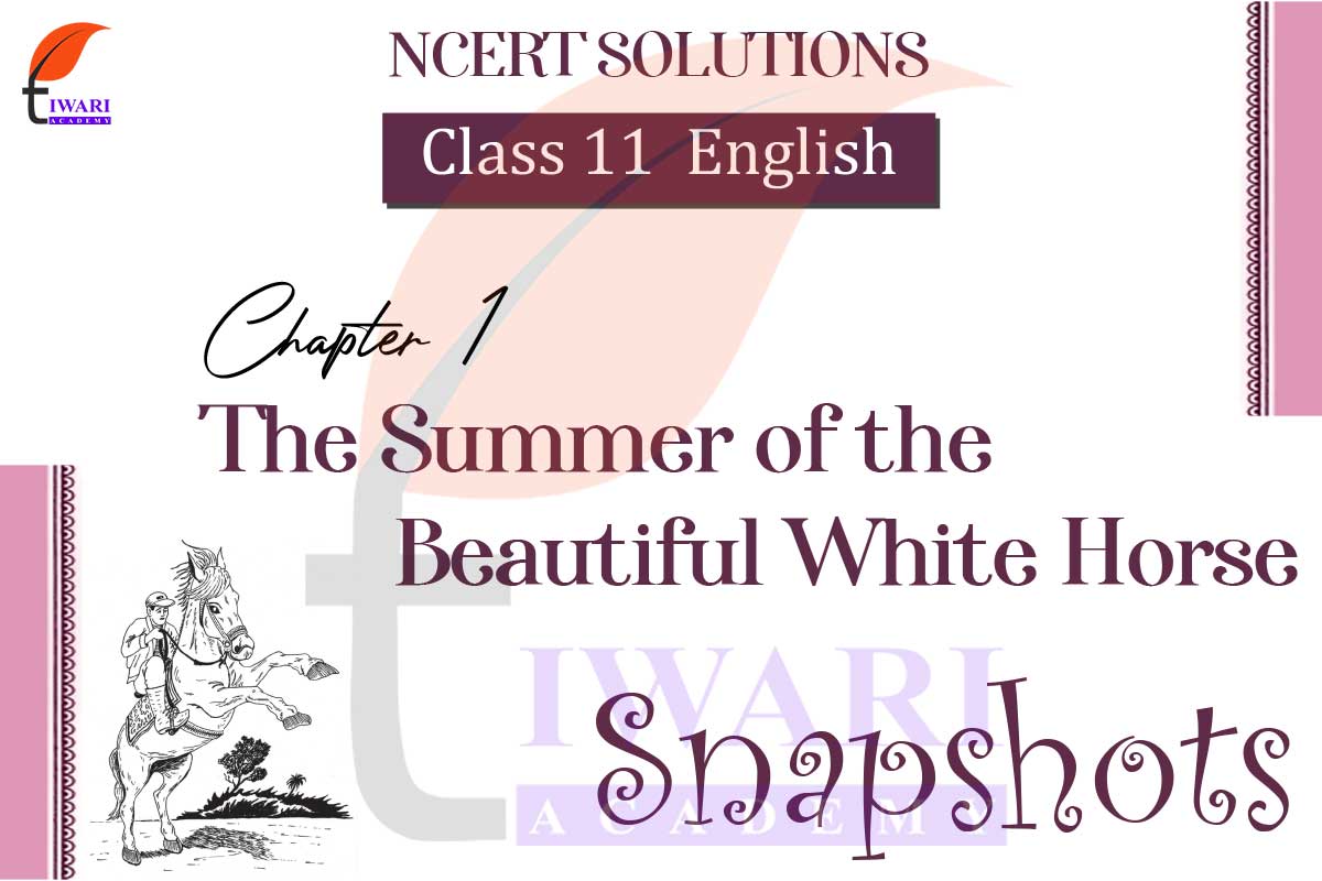 NCERT Solutions For Class 11 English Snapshots Chapter 1 The Summer ncert-solutions-for-class-11-english-snapshots-chapter-1-the-summer