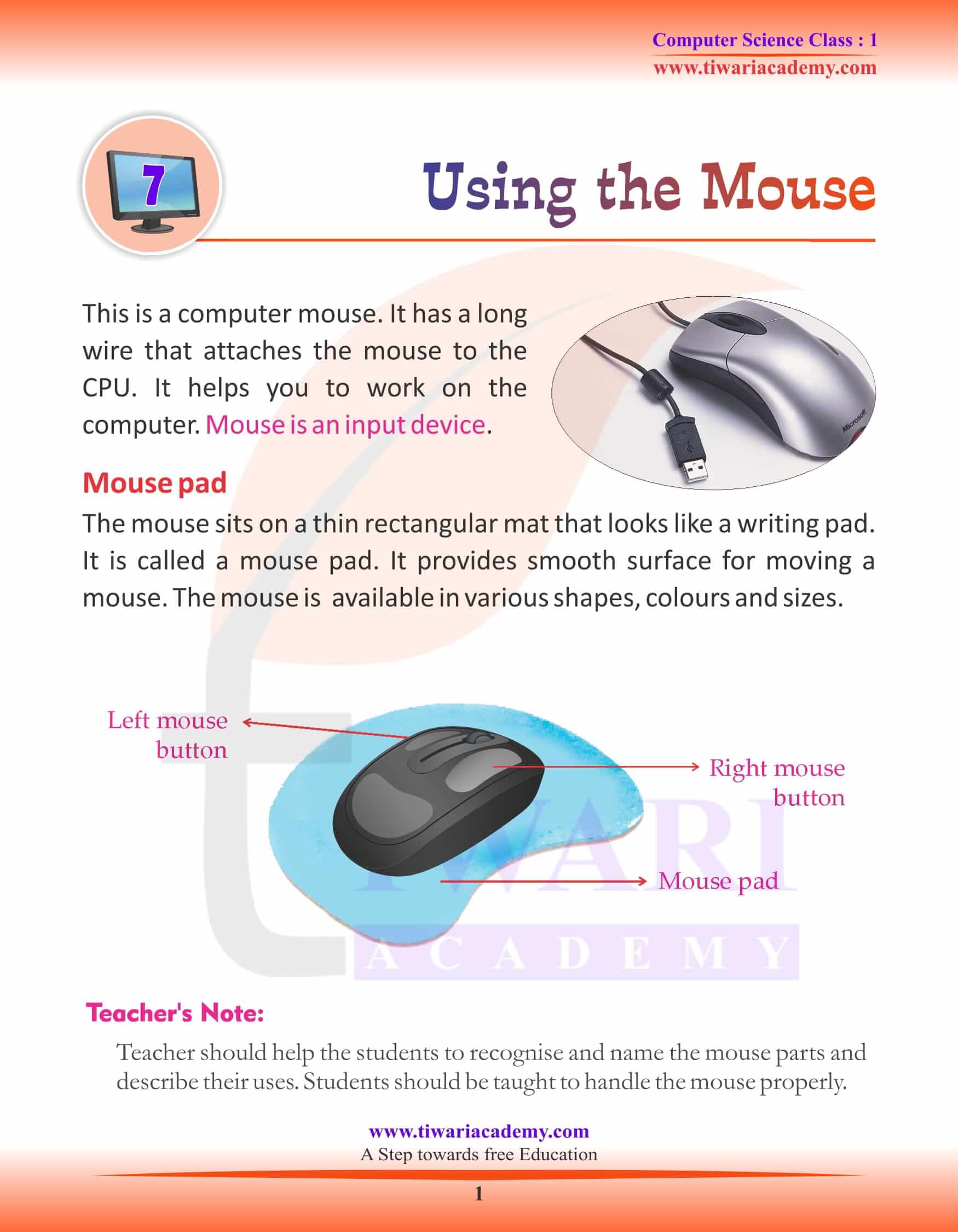 essay about a computer mouse