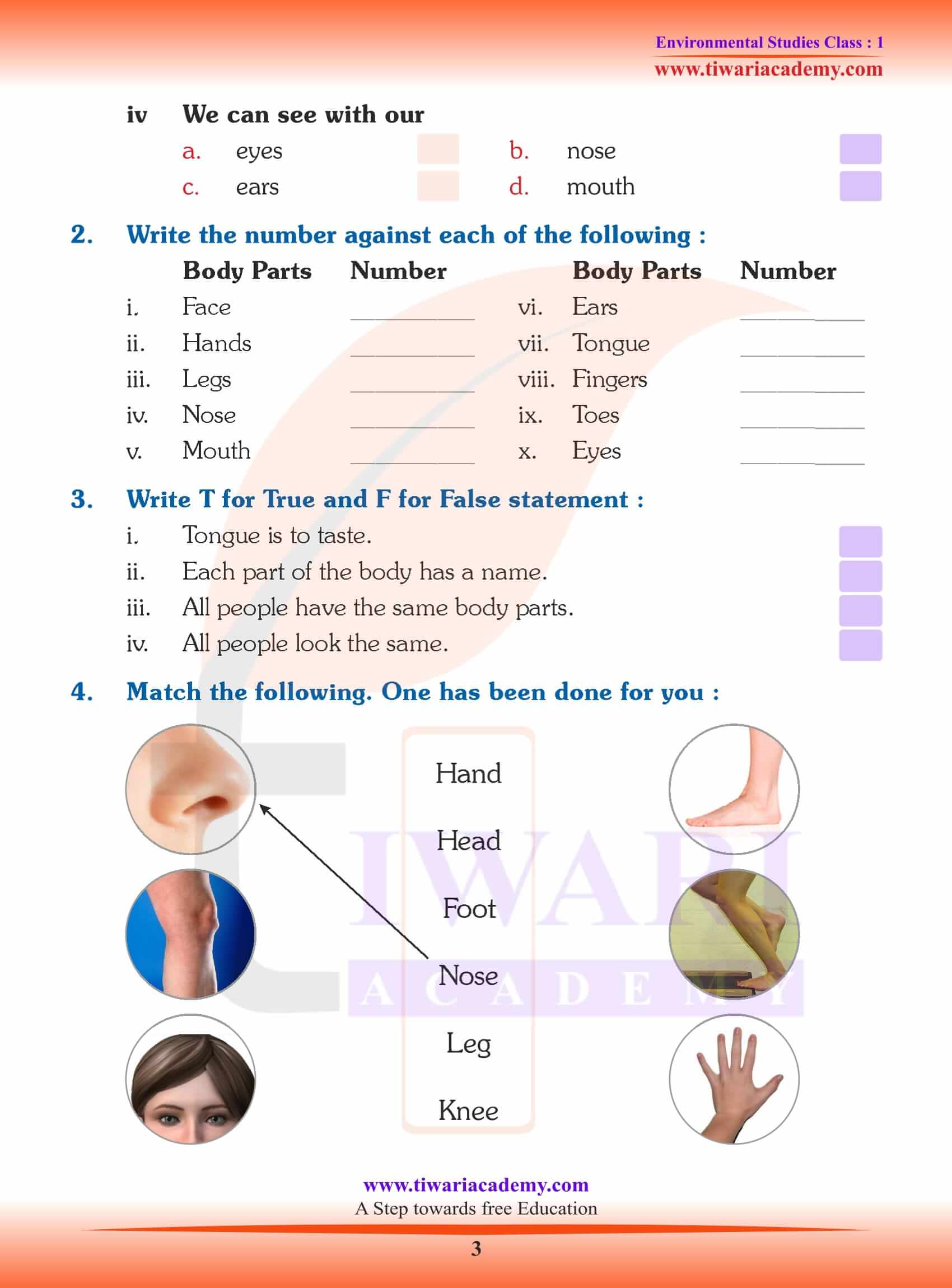 Class 1 EVS My Body - Explanation