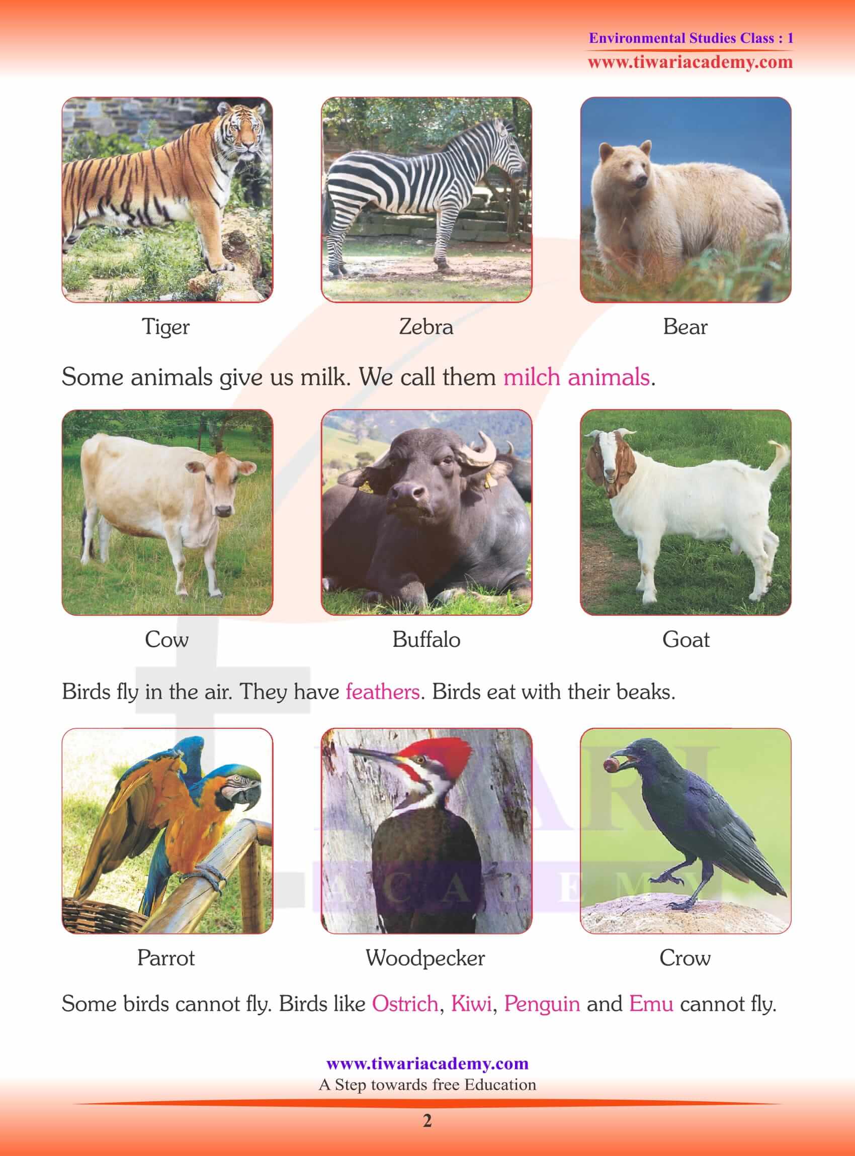NCERT Solutions for Class 1 EVS Chapter 11 Animal around Us