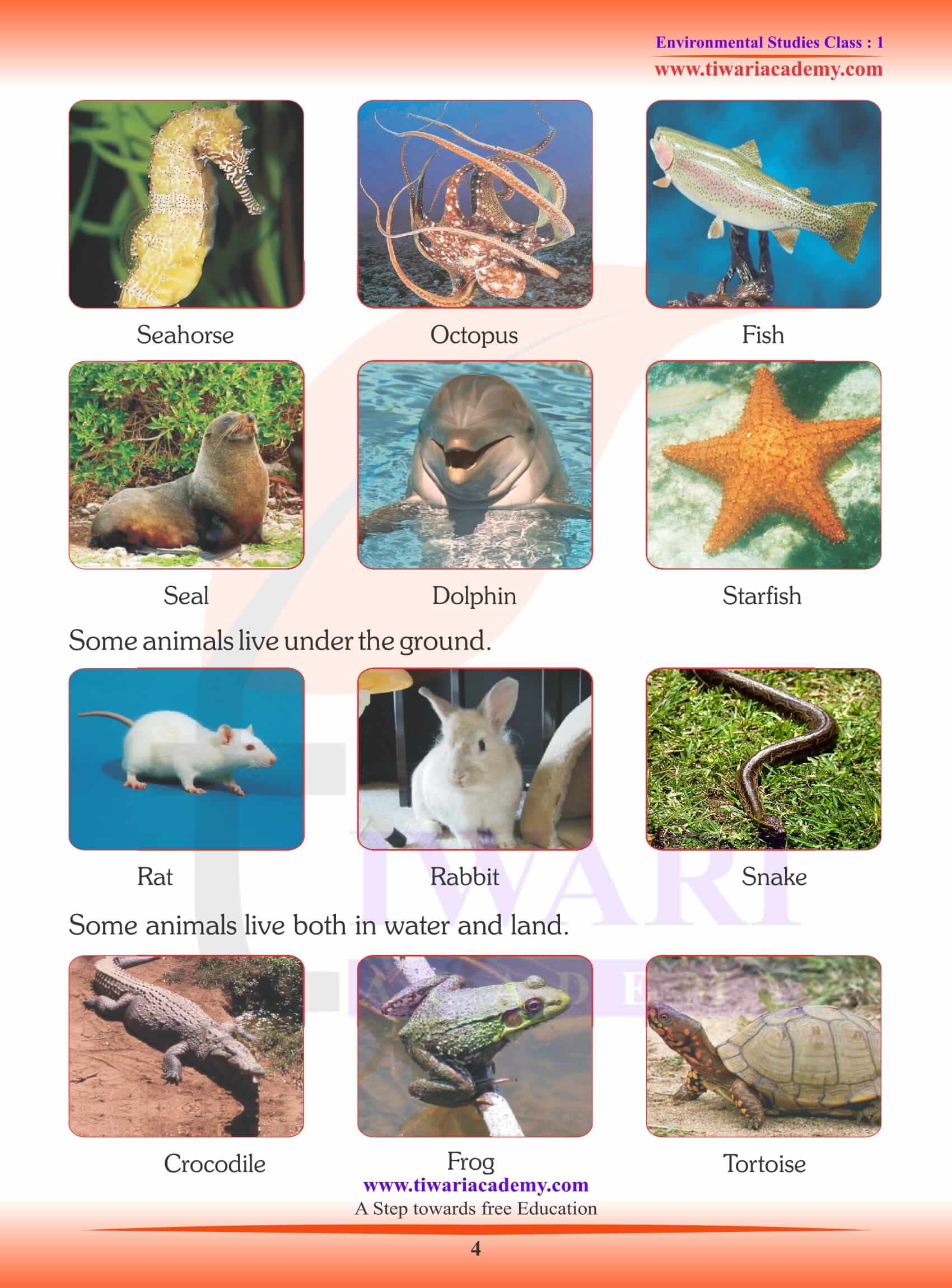 NCERT Solutions for Class 1 EVS Chapter 11 Animal around Us