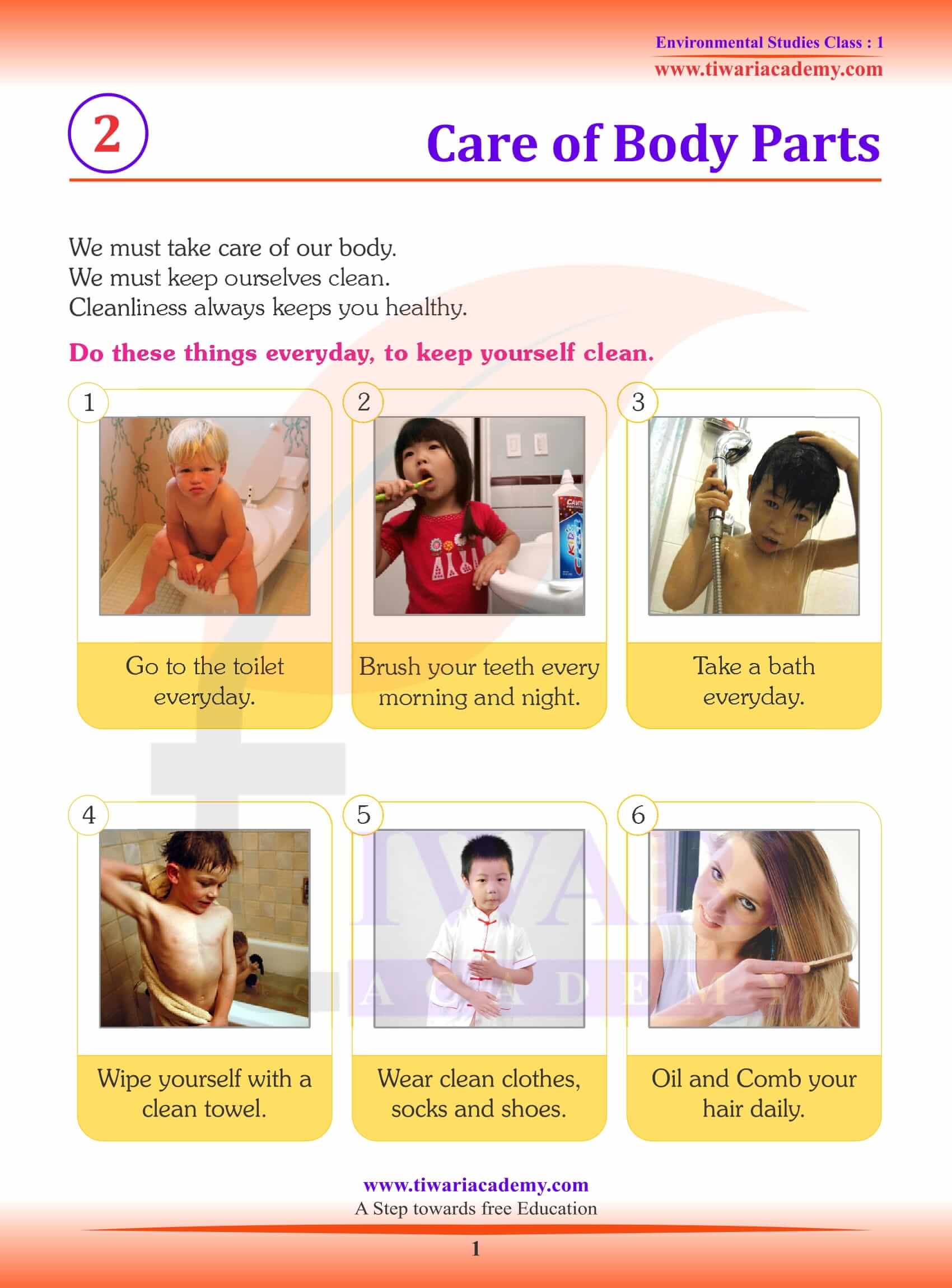 Class 1 EVS My Body - Explanation
