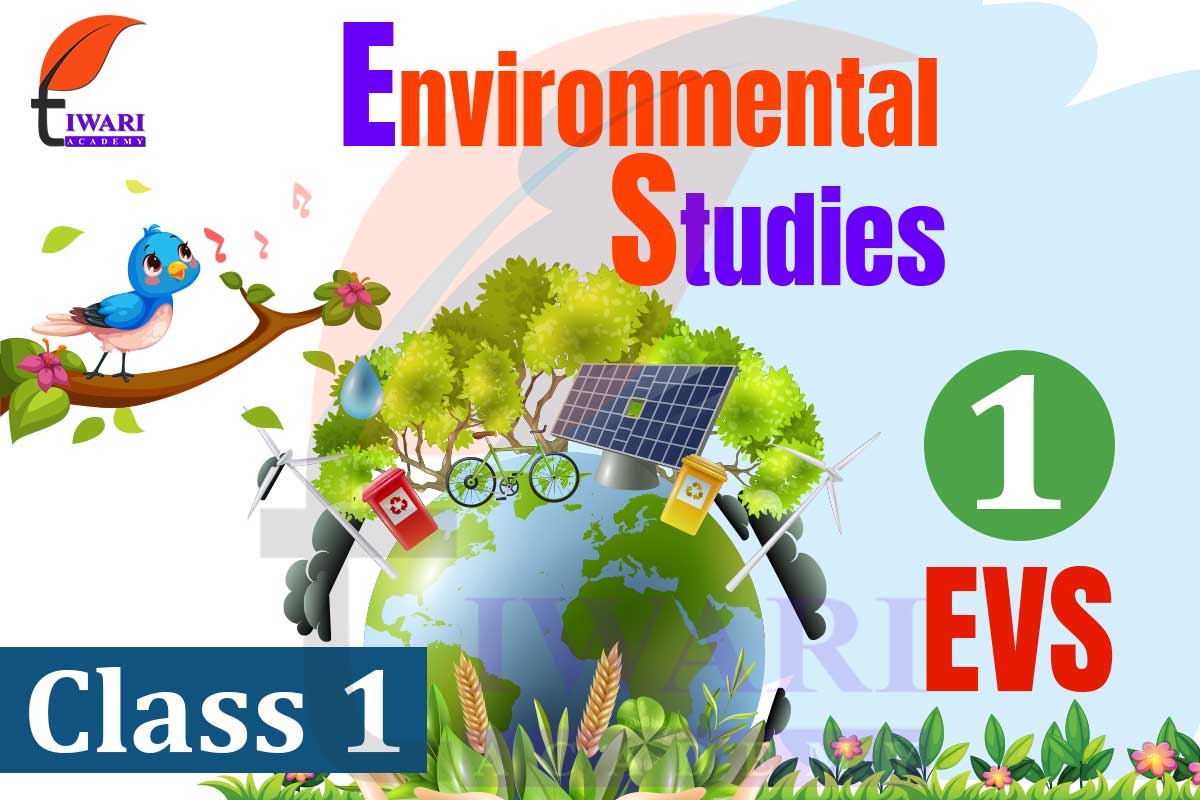 NCERT Solutions for Class 1 EVS (Environmental Studies)