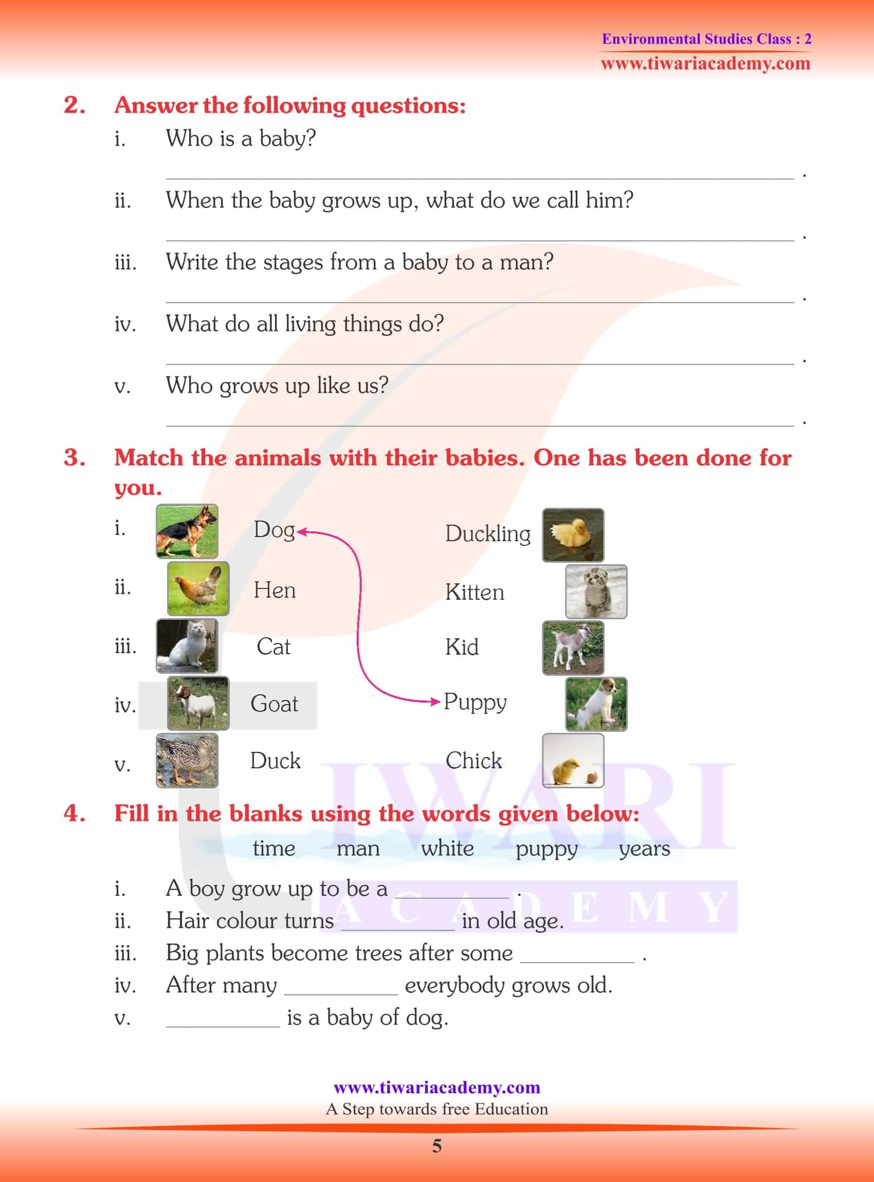 NCERT Solutions for Class 2 EVS Chapter 1 Worksheet