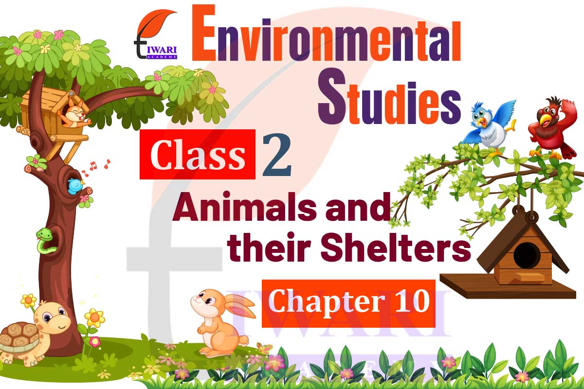 NCERT Solutions for Class 2 EVS Chapter 10 Animals and their Shelters