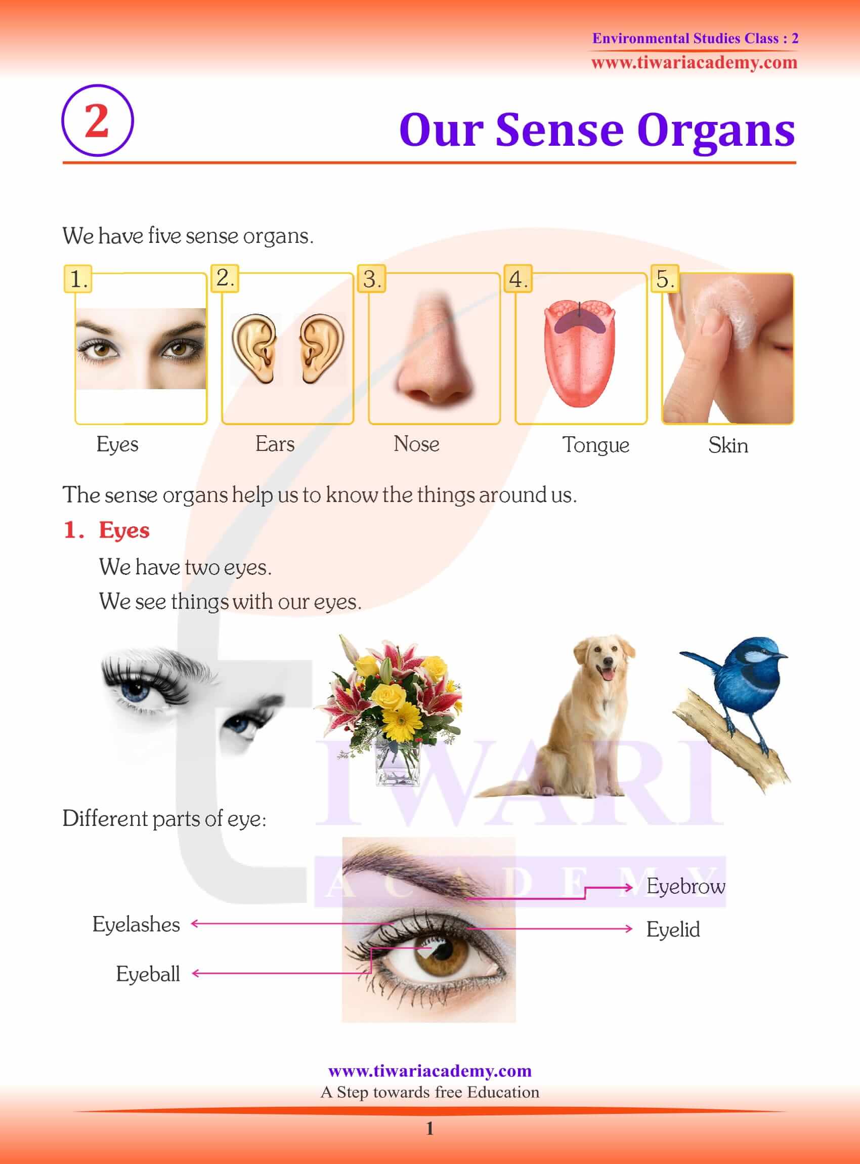 Class 1 EVS My Body - Explanation