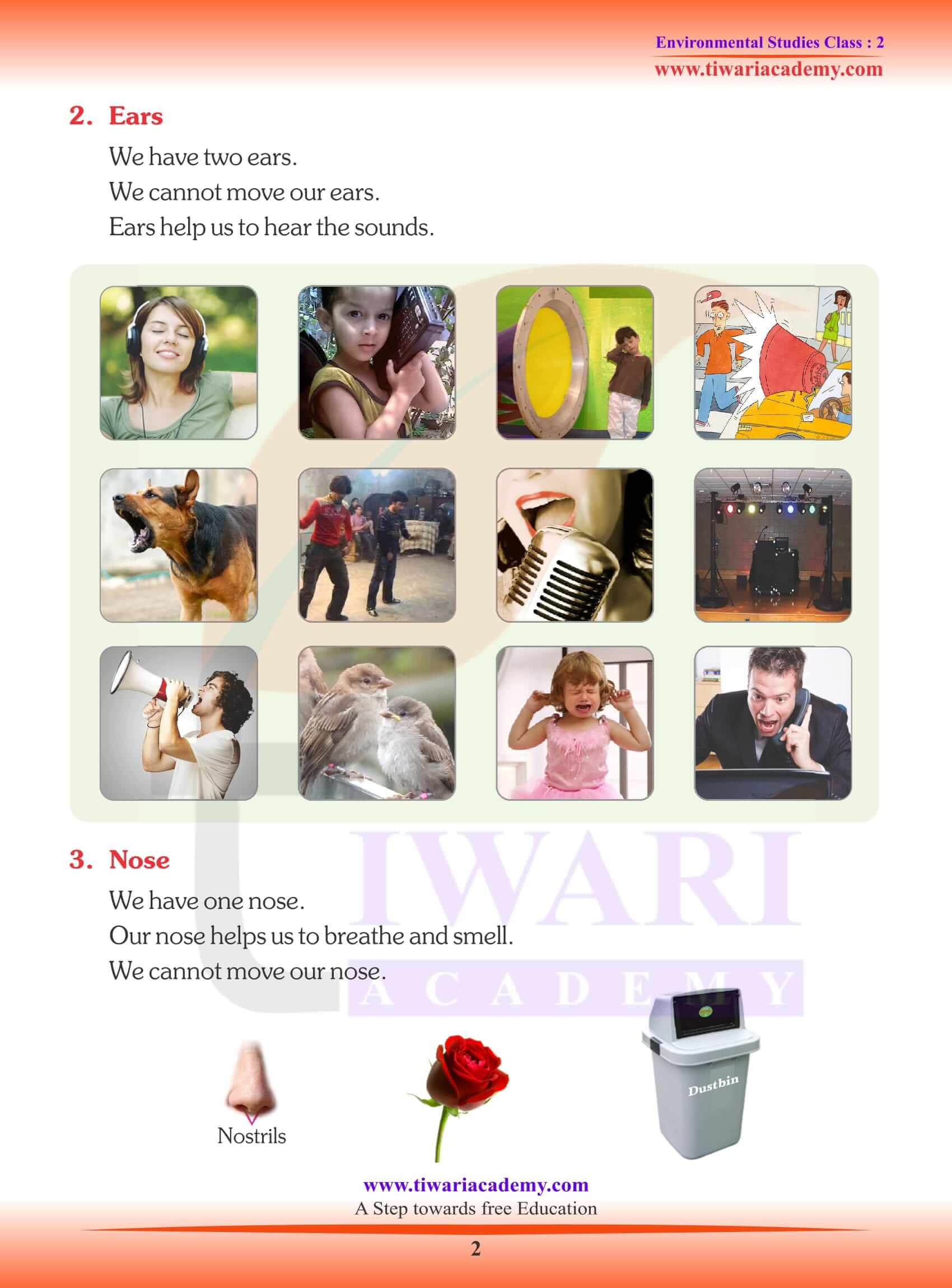NCERT Solutions for Class 2 EVS Chapter 2 Activity