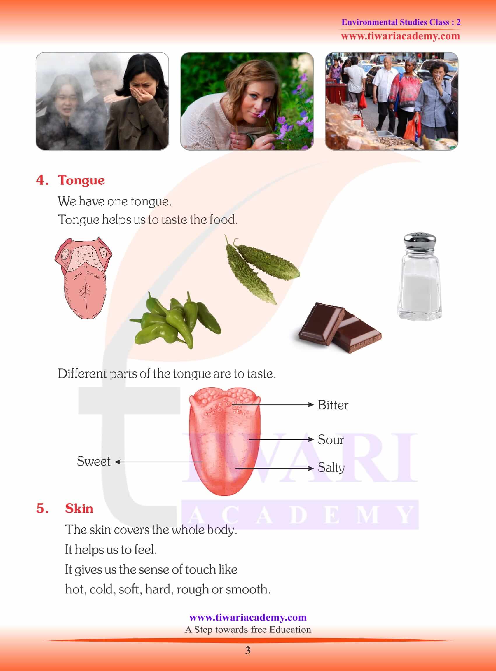 NCERT Solutions for Class 2 EVS Chapter 2 Assignments