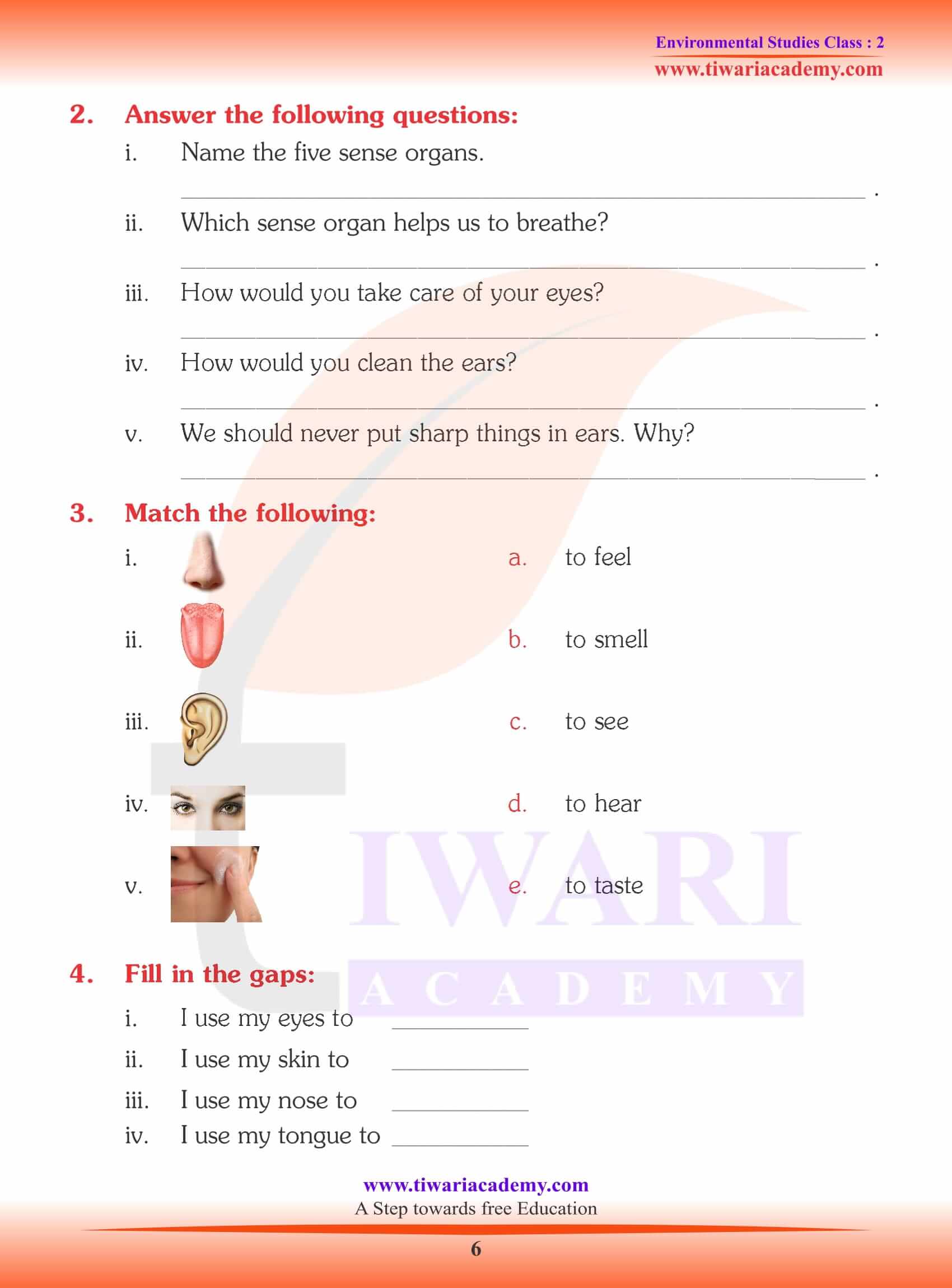 NCERT Solutions for Class 2 EVS Chapter 2 WorkSheets