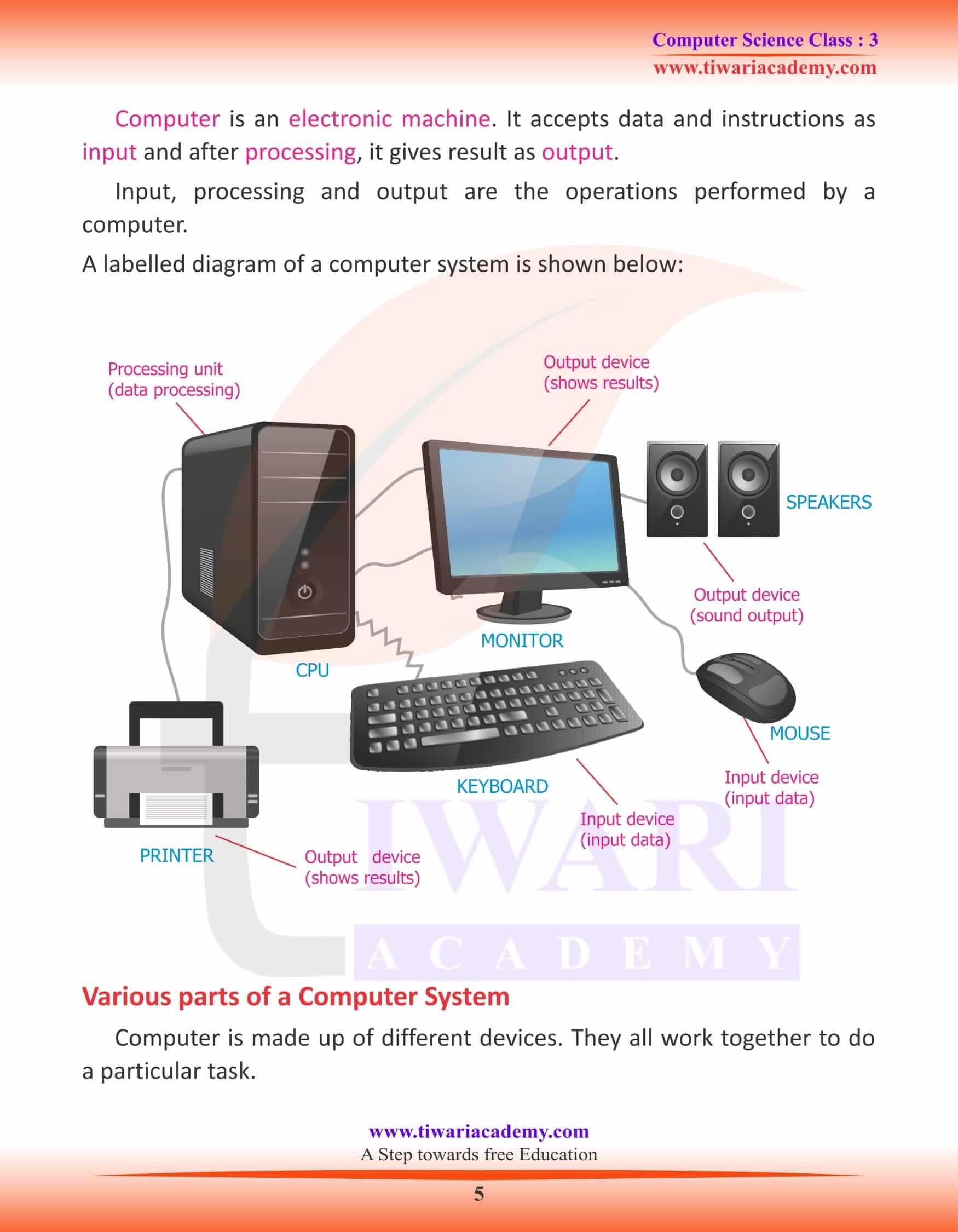 NCERT Solutions for Class 3 Computer Science Chapter 1 Question Answers