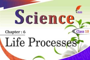 NCERT Solutions for Class 10 Science Chapter 6