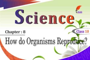 NCERT Solutions for Class 10 Science Chapter 8