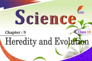 NCERT Solutions for Class 10 Science Chapter 9