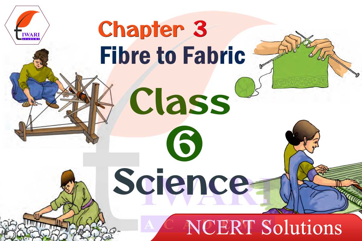 class 6 science chapter 3 extra questions and answers