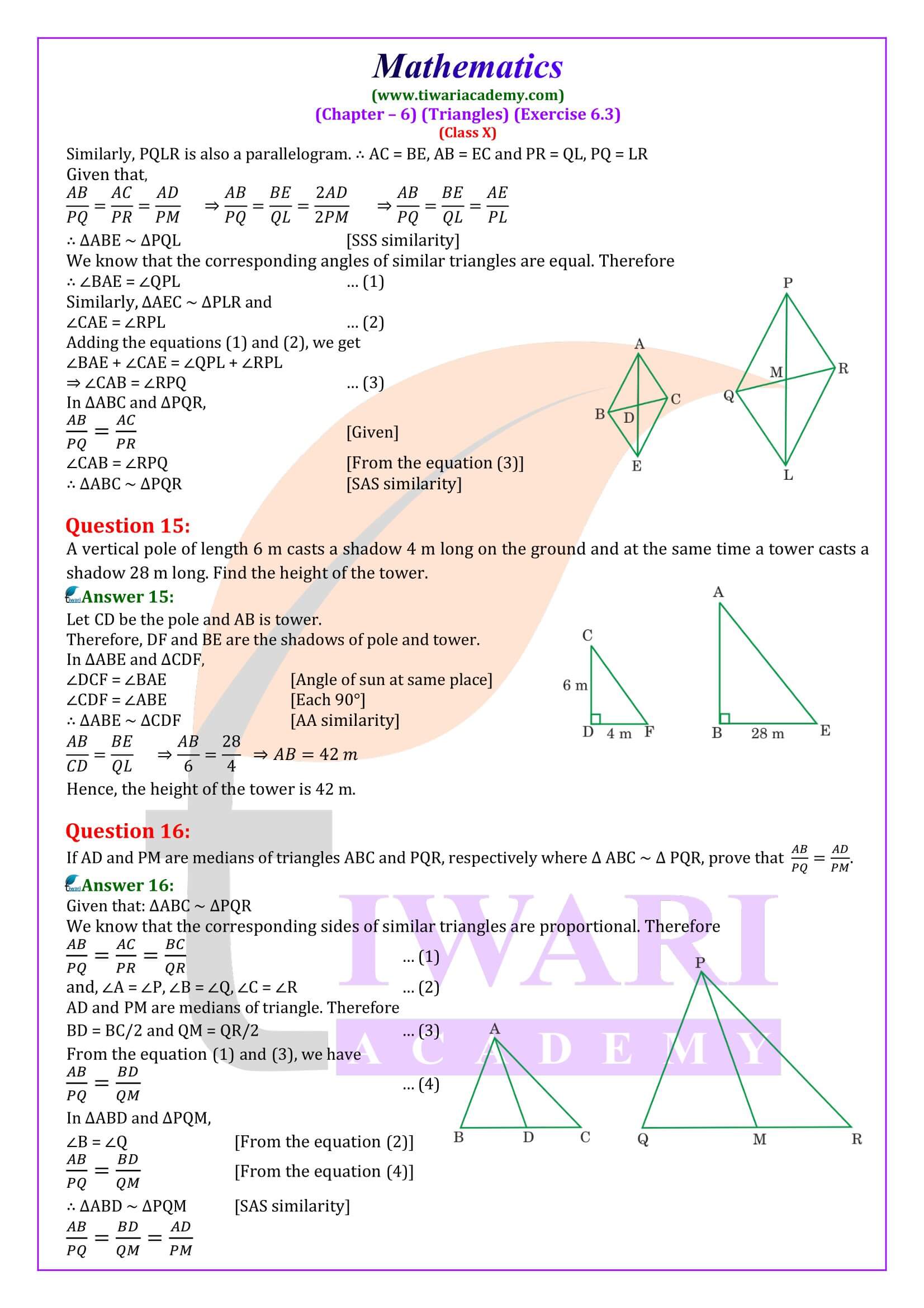 NCERT Solutions Class 10 Maths Exercise 6.3 in English Medium