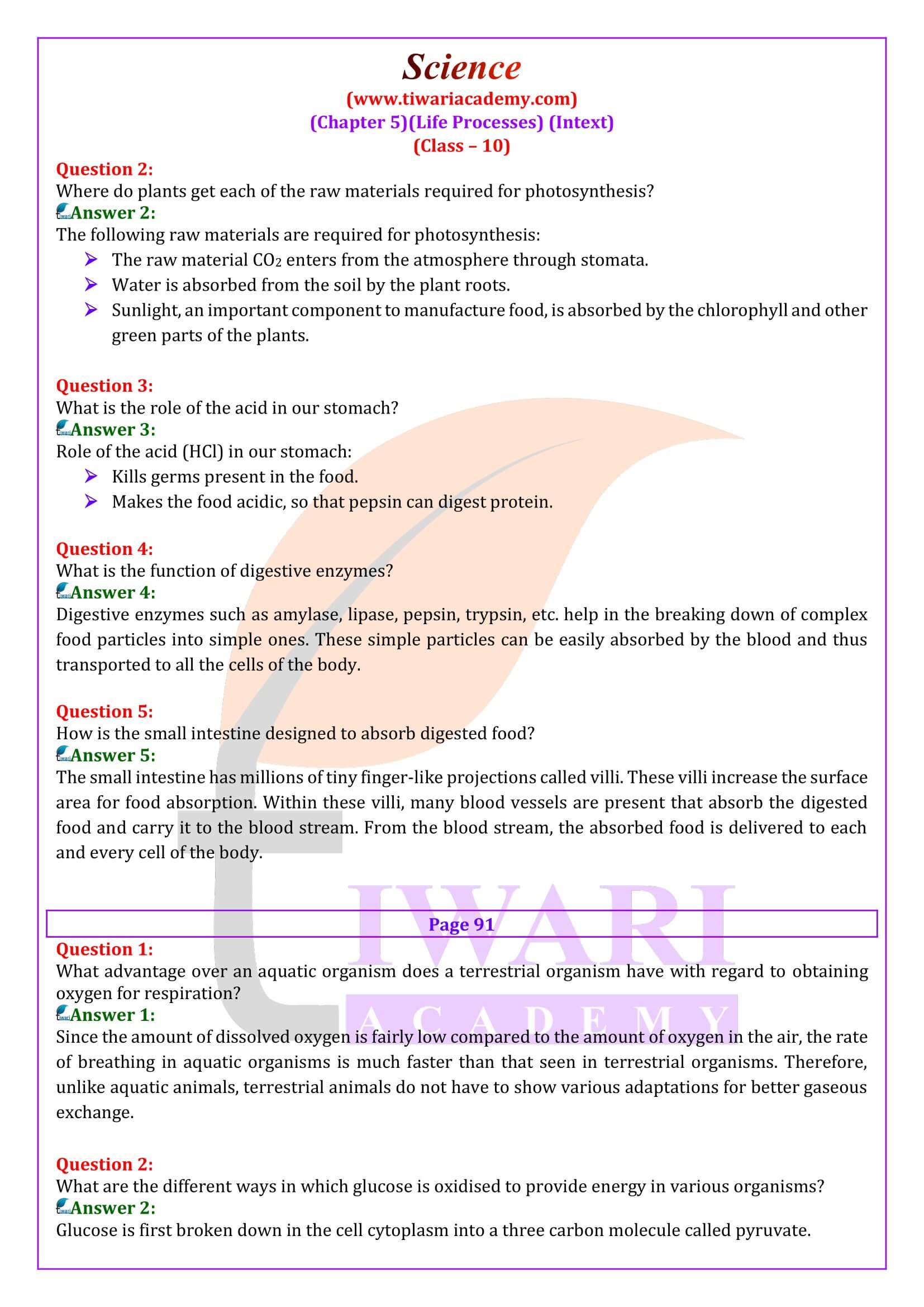 NCERT Solutions for Class 10 Science Chapter 5 Guide