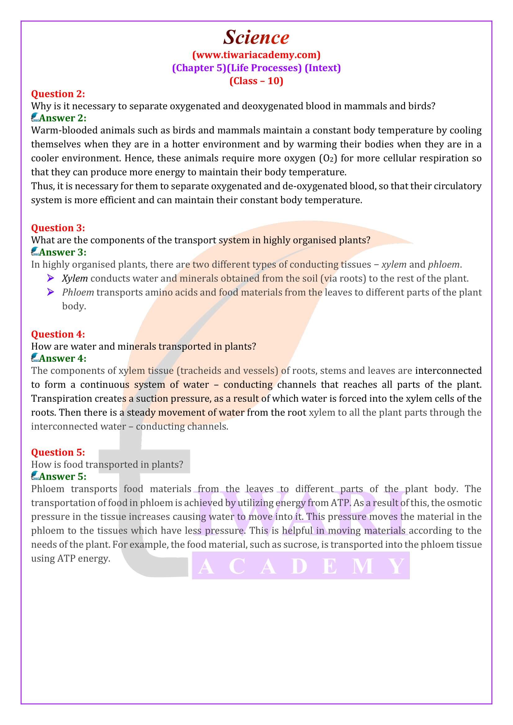 NCERT Solutions for Class 10 Science Chapter 5 in page Questions